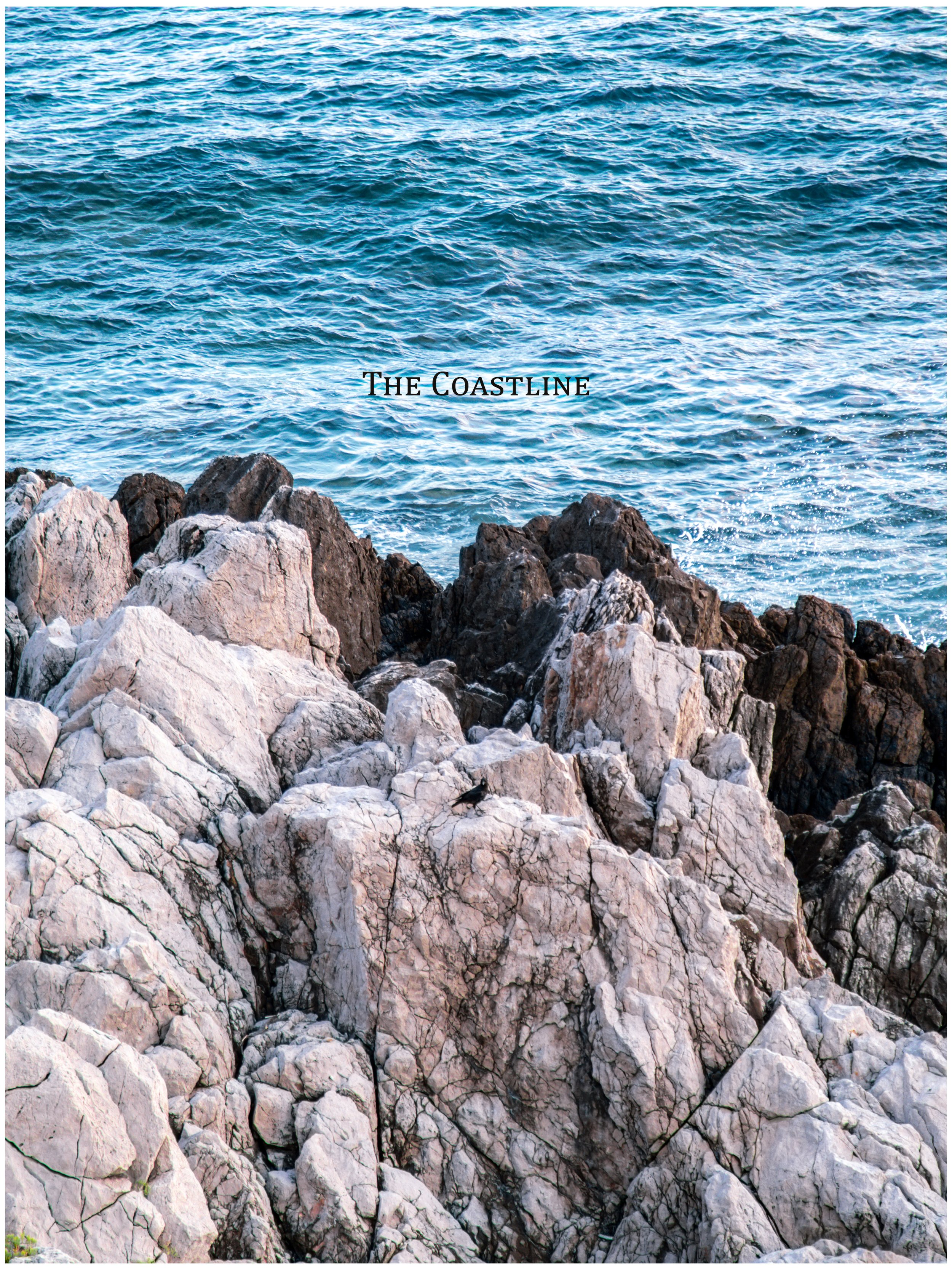 A rocky shoreline with large, textured rocks in the foreground and ocean waves in the background, with the text 'The Coastline' overlaid.