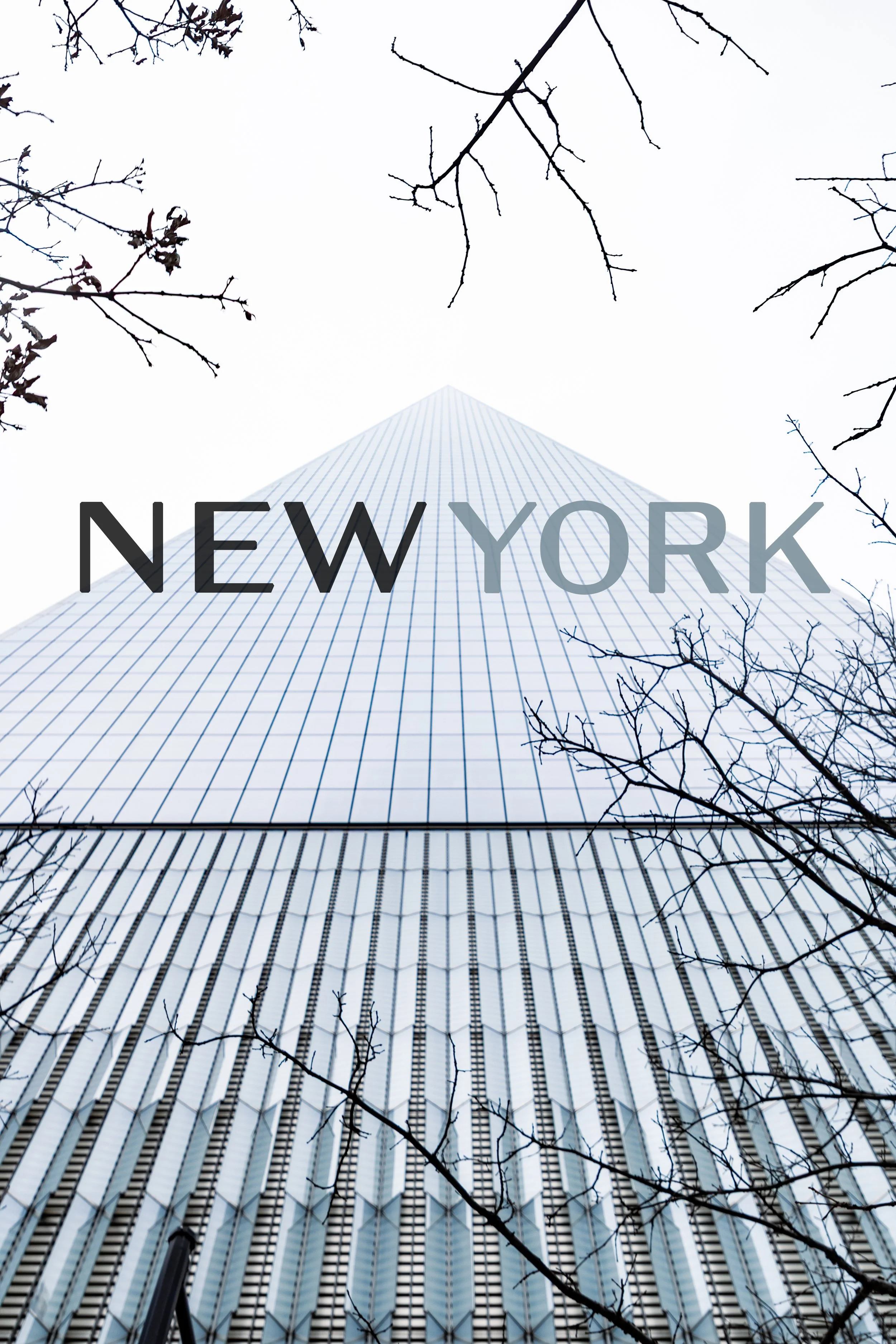 Looking up at the skyscraper One World Trade Center in New York, with leafless tree branches in the foreground and the overcast sky.