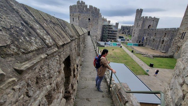 carnarfon 4 on walls.jpg