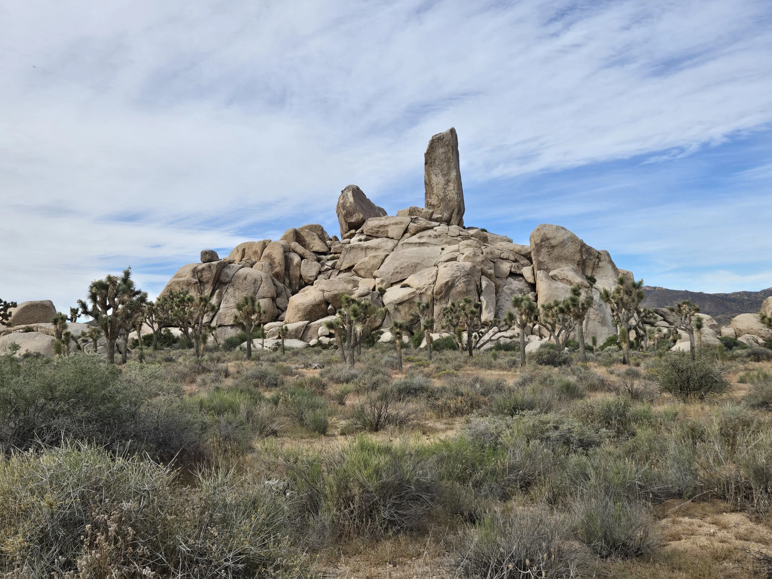 Gone West: Part 1 Southern California (mostly Joshua Tree)