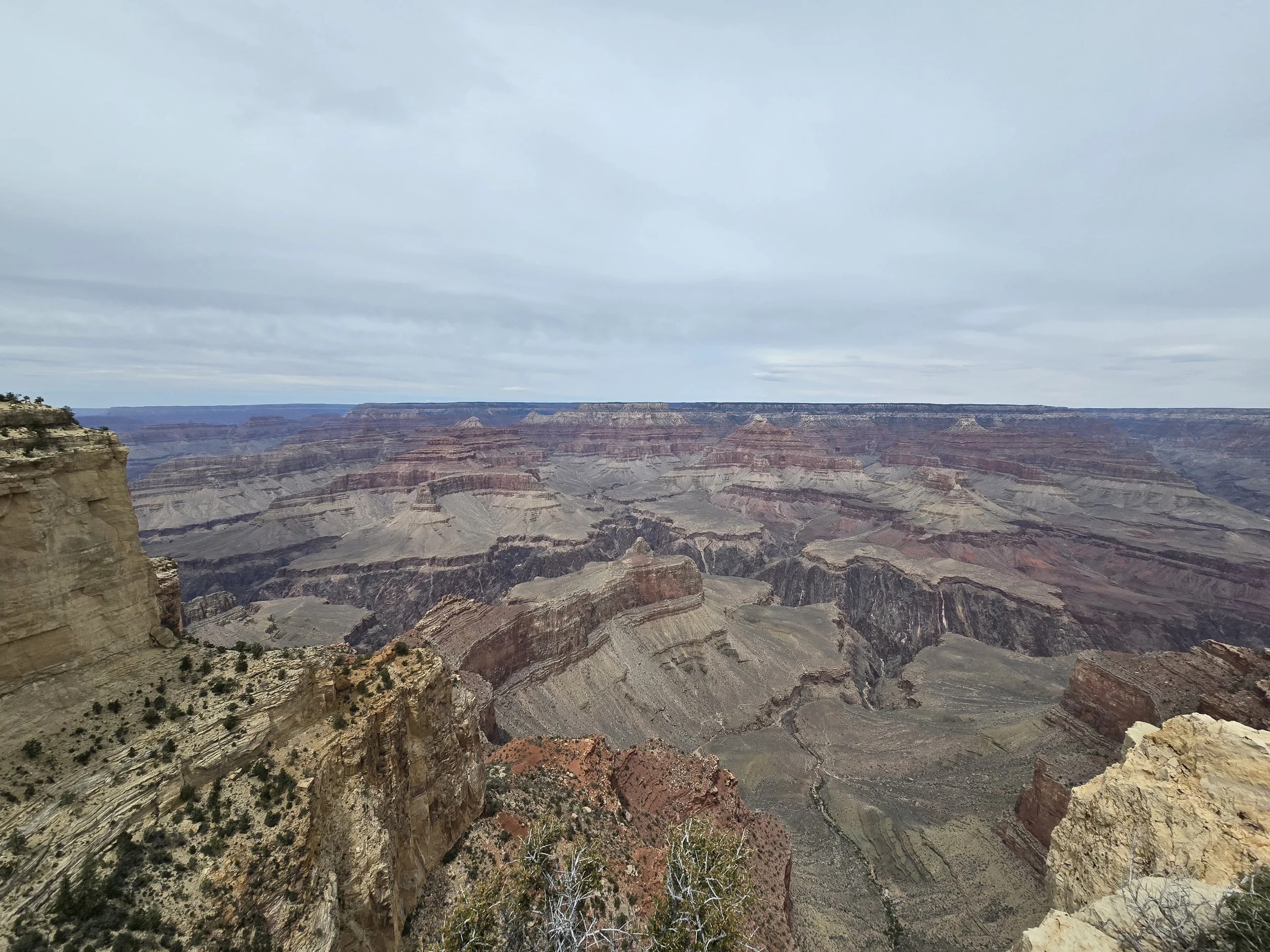Gone West Part 2: Grand Canyon, Mules and Donkeys