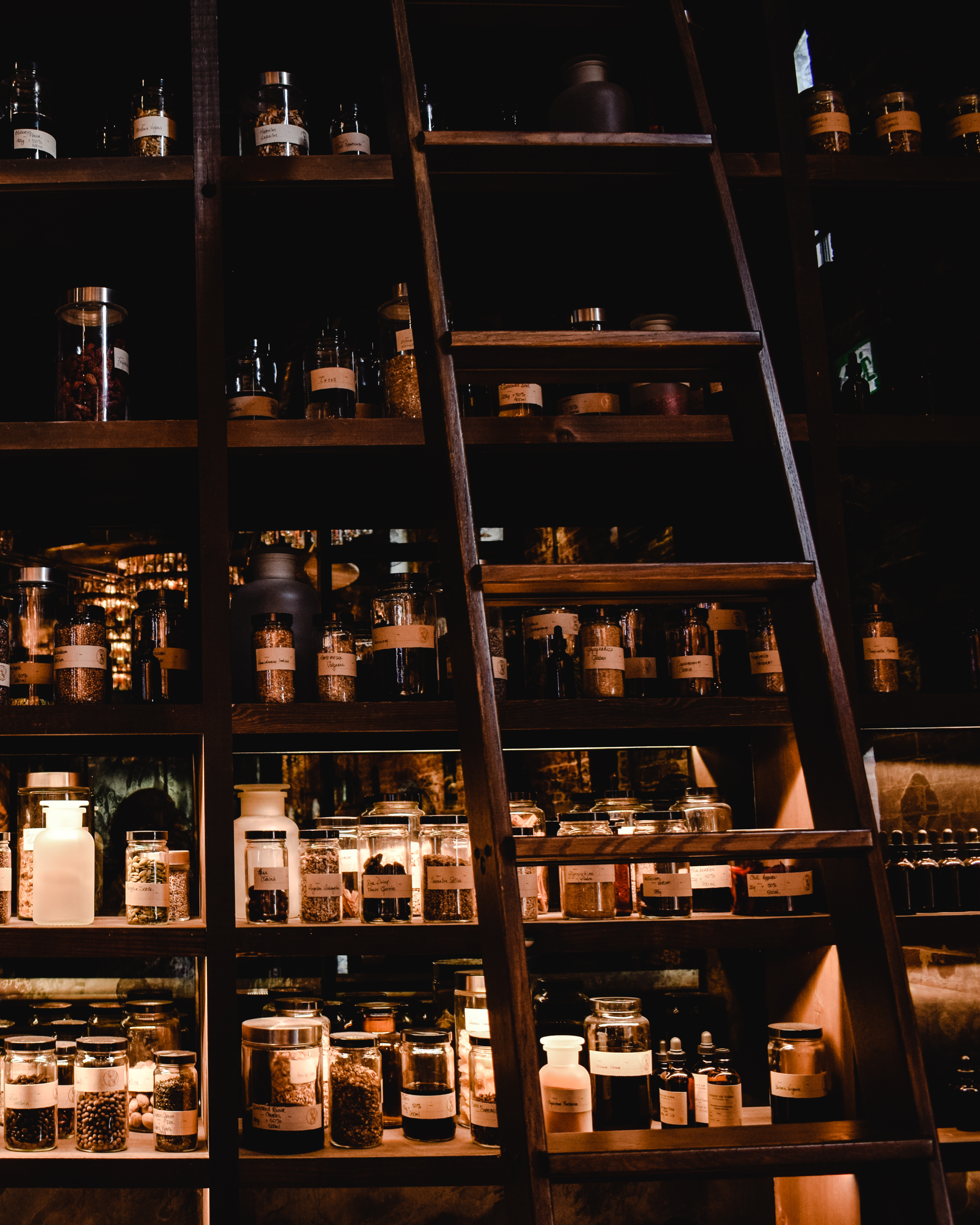 A wooden shelf filled with various glass jars and bottles containing spices, herbs, and other ingredients. A wooden ladder leans against the shelf for access to the upper levels. The jars have labels with handwritten descriptions.