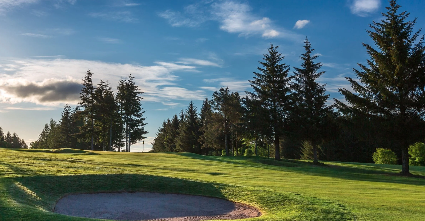 Golf voucher for 4 kindly donated by Alyth Golf Club. Starting bid £50.