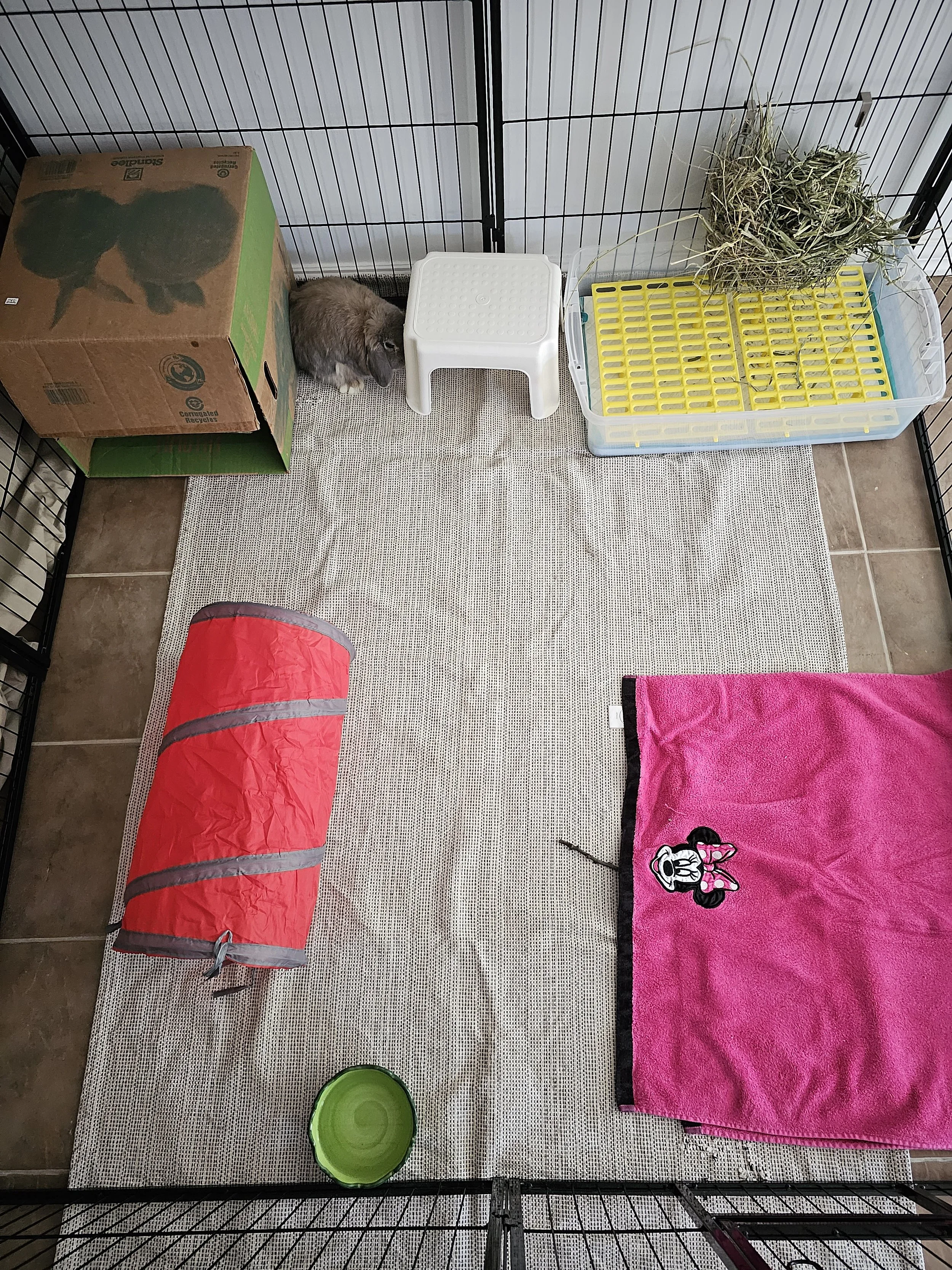 5' by 5' regular pen