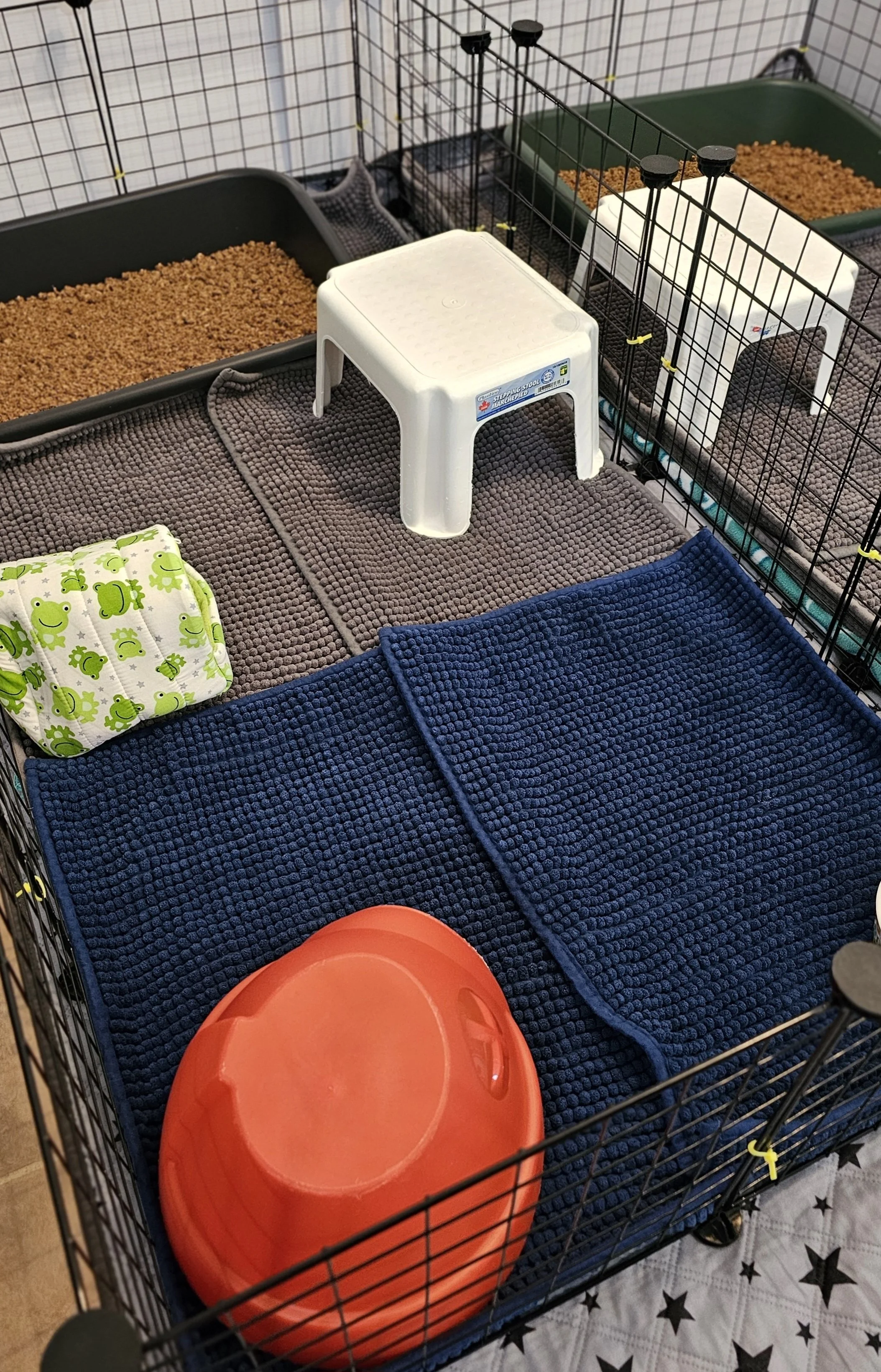 Guinea pig pens side by side (2 x 4)