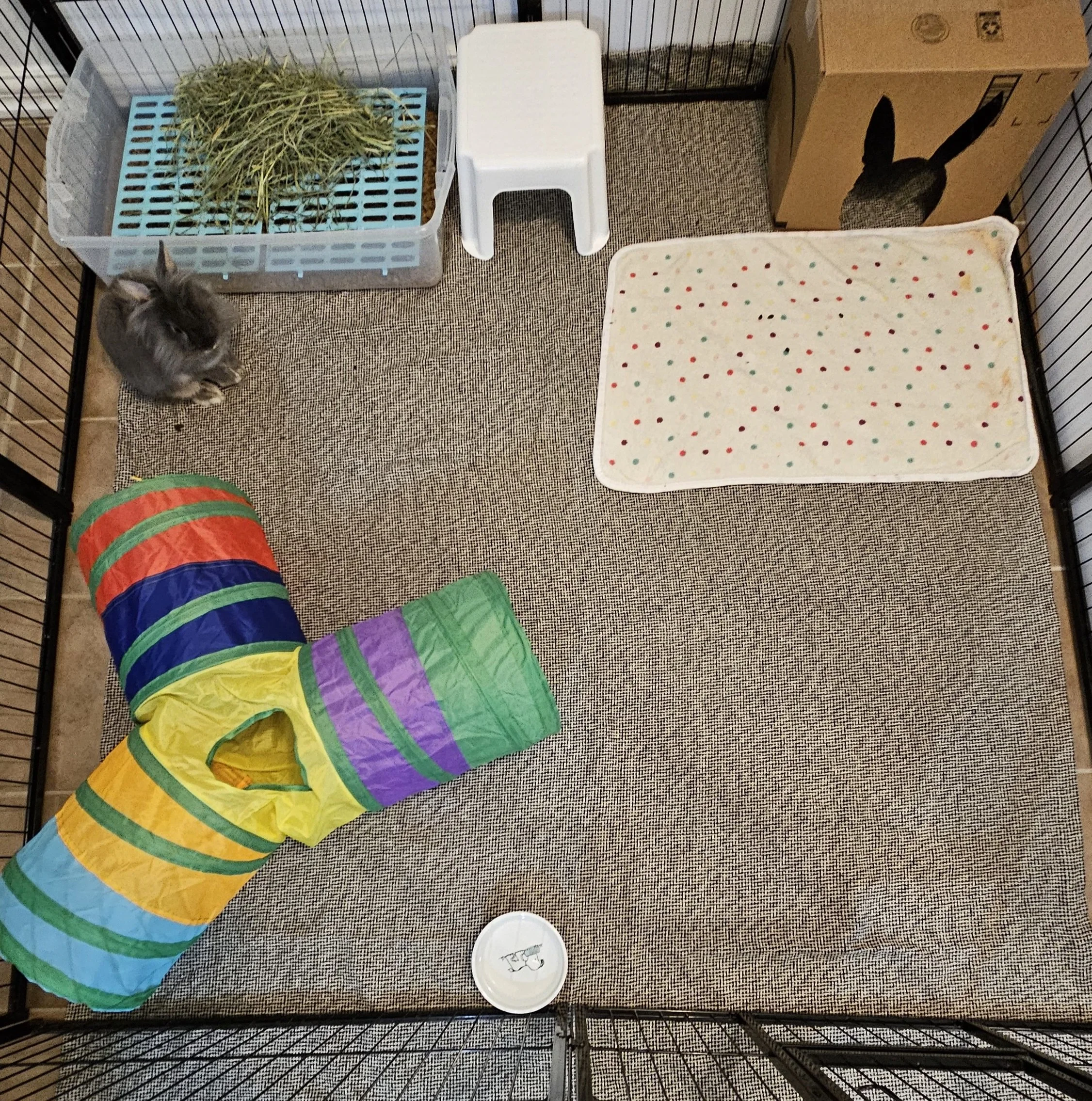 5' by 5' regular pen