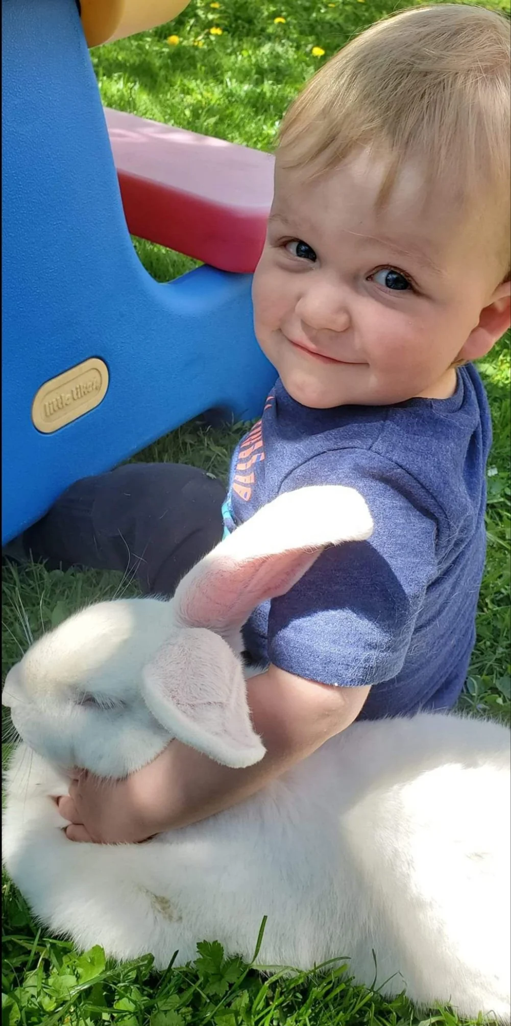 A young boy smiling and holding a white baby bunny in a grassy outdoor area.