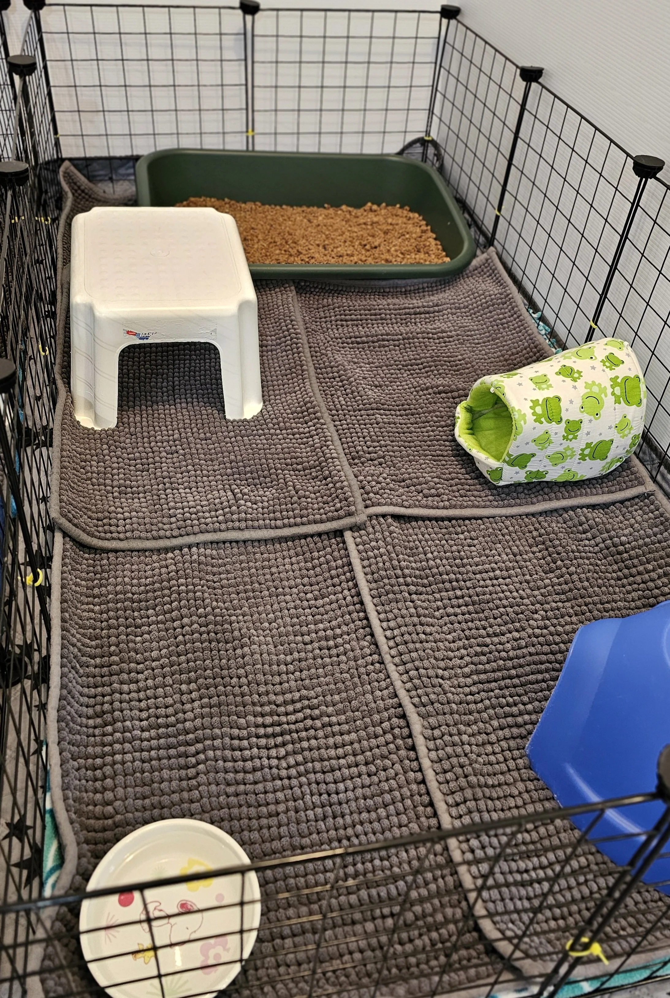 An enclosed playpen with a brown textured mat, a white step stool, a green litter box with brown bedding, a small fabric tent with green frogs, a white dish with a yellow design, and a blue plastic container.