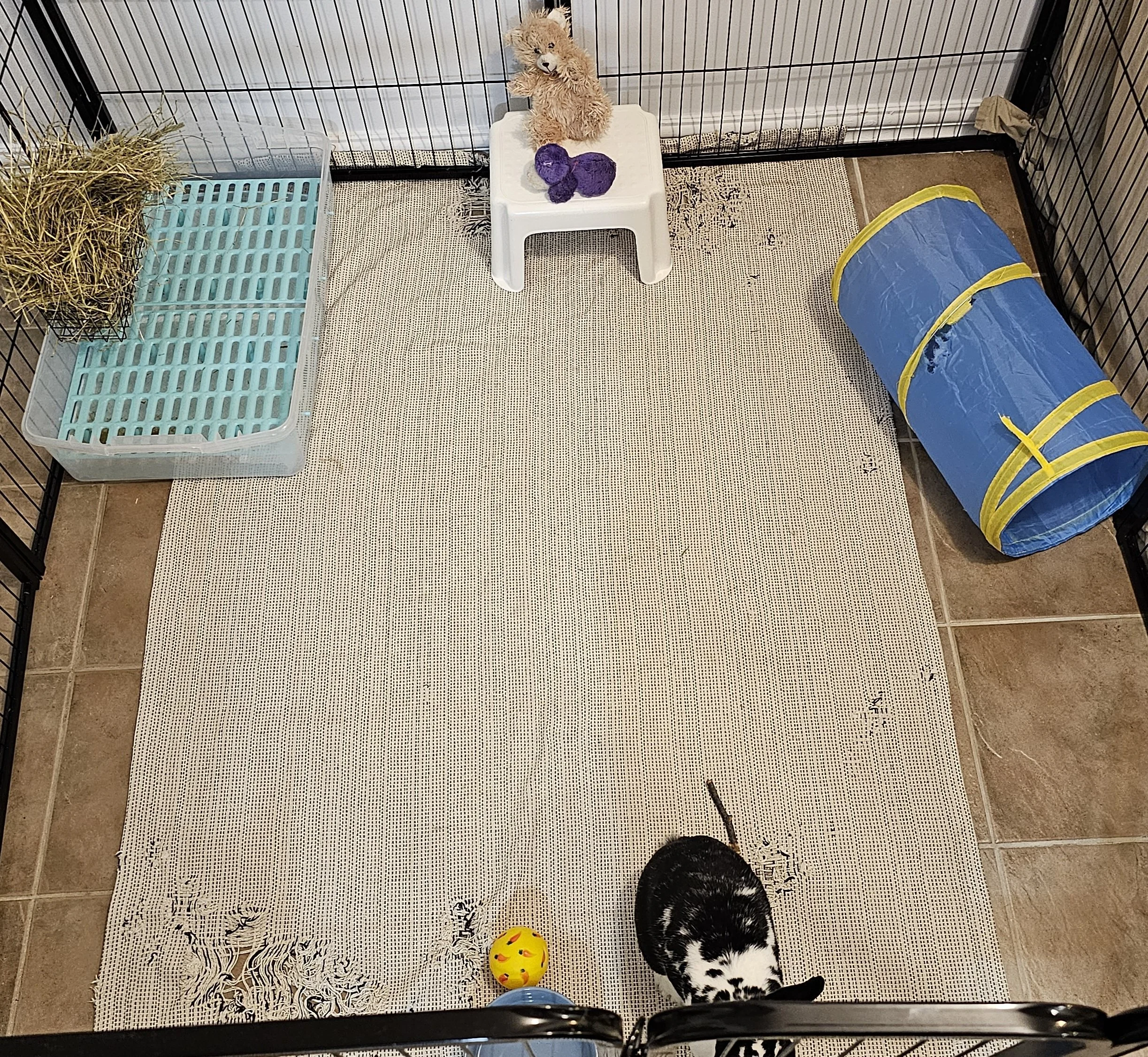 5' by 5' regular pen