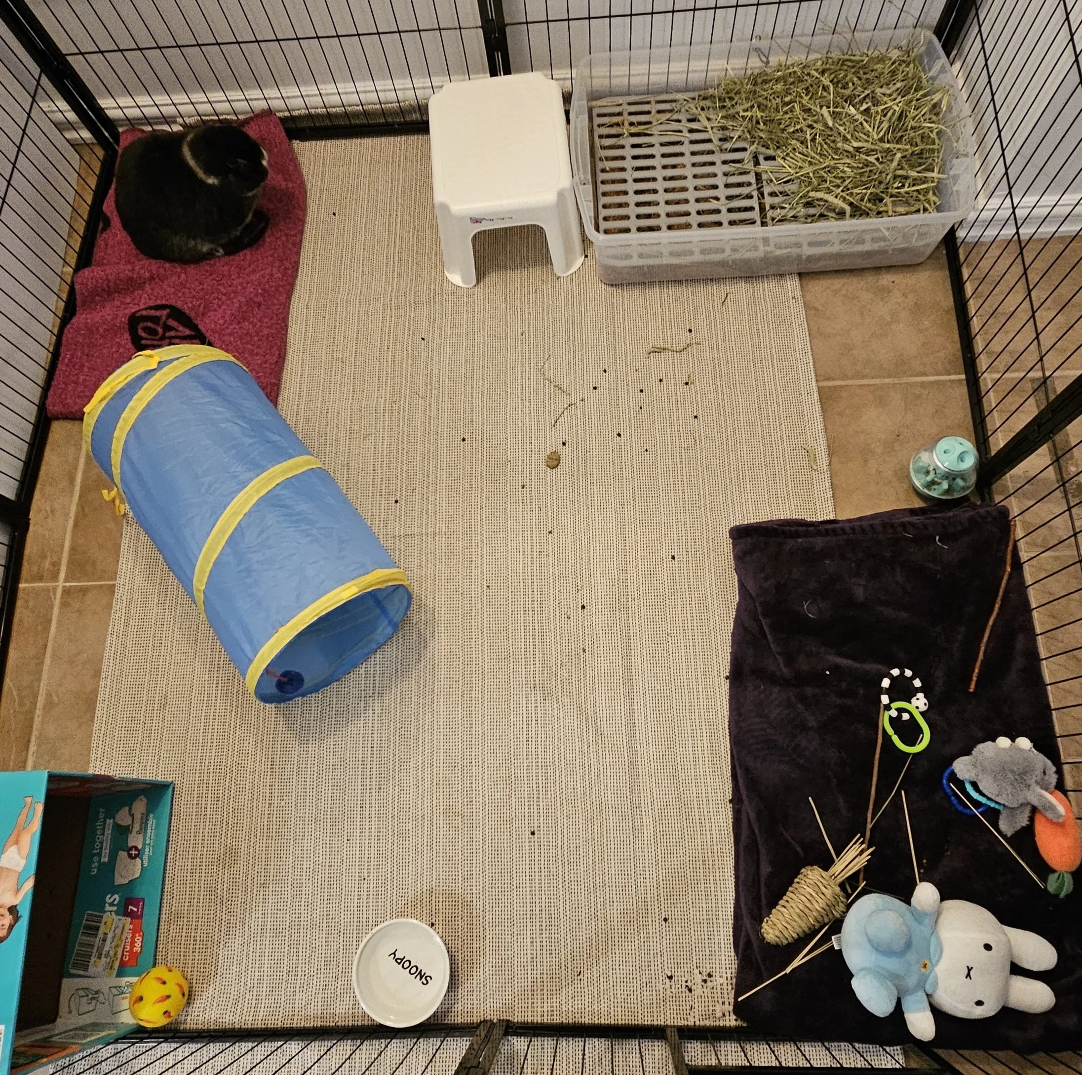 5' by 5' regular pen