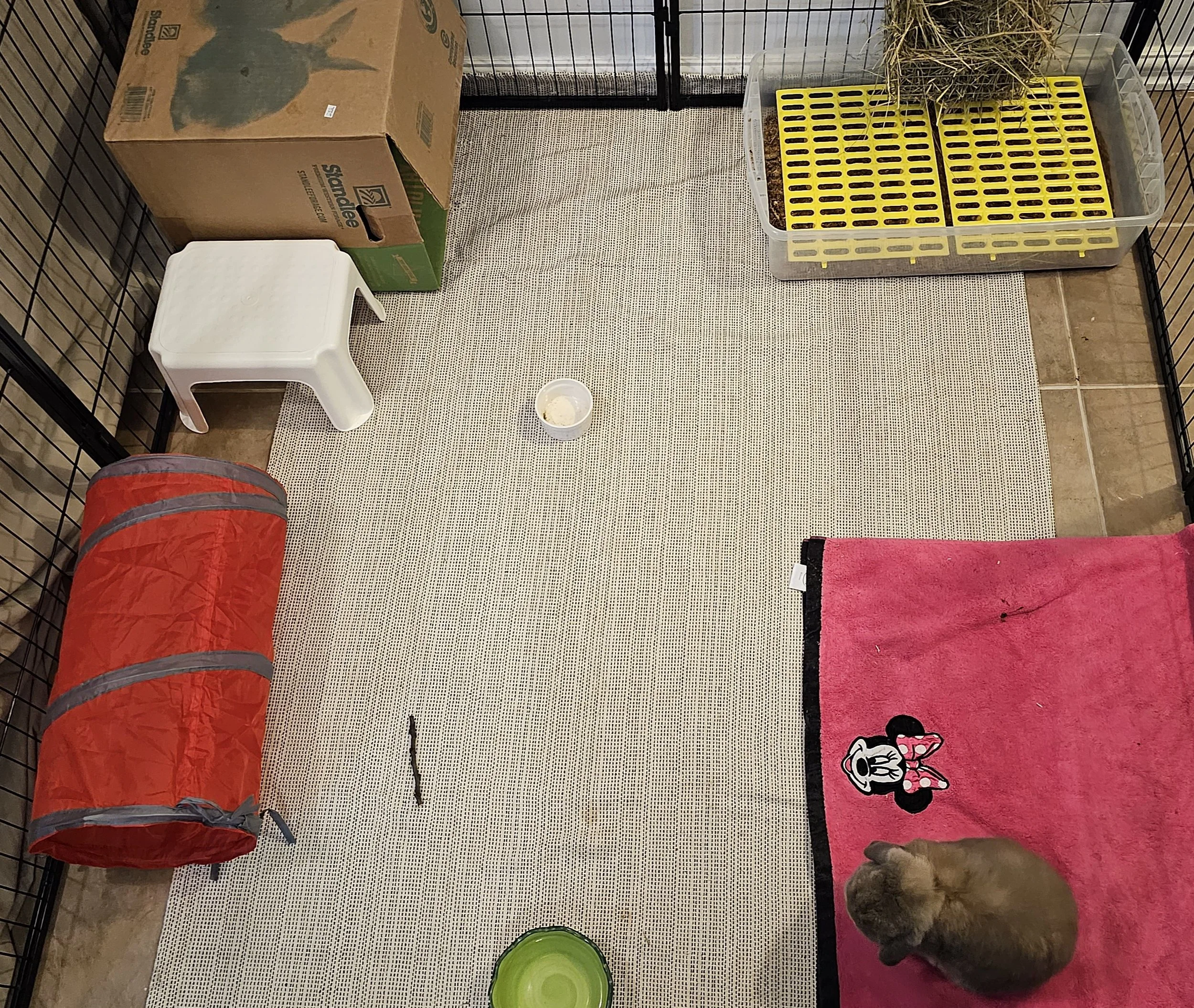 A small animal enclosure with a puppy sitting on a pink Minnie Mouse rug, a green food bowl, a small white plastic stool, a red tunnel toy, a container of treats, a cardboard box, a plastic container with yellow inserts, and some hay.