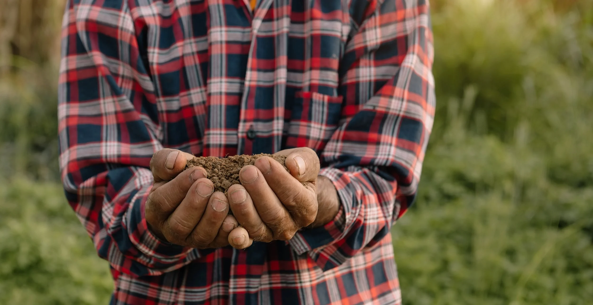 farmer-holding-soil-in-hands-close-up-2025-07-20-19-58-55-utc.jpg