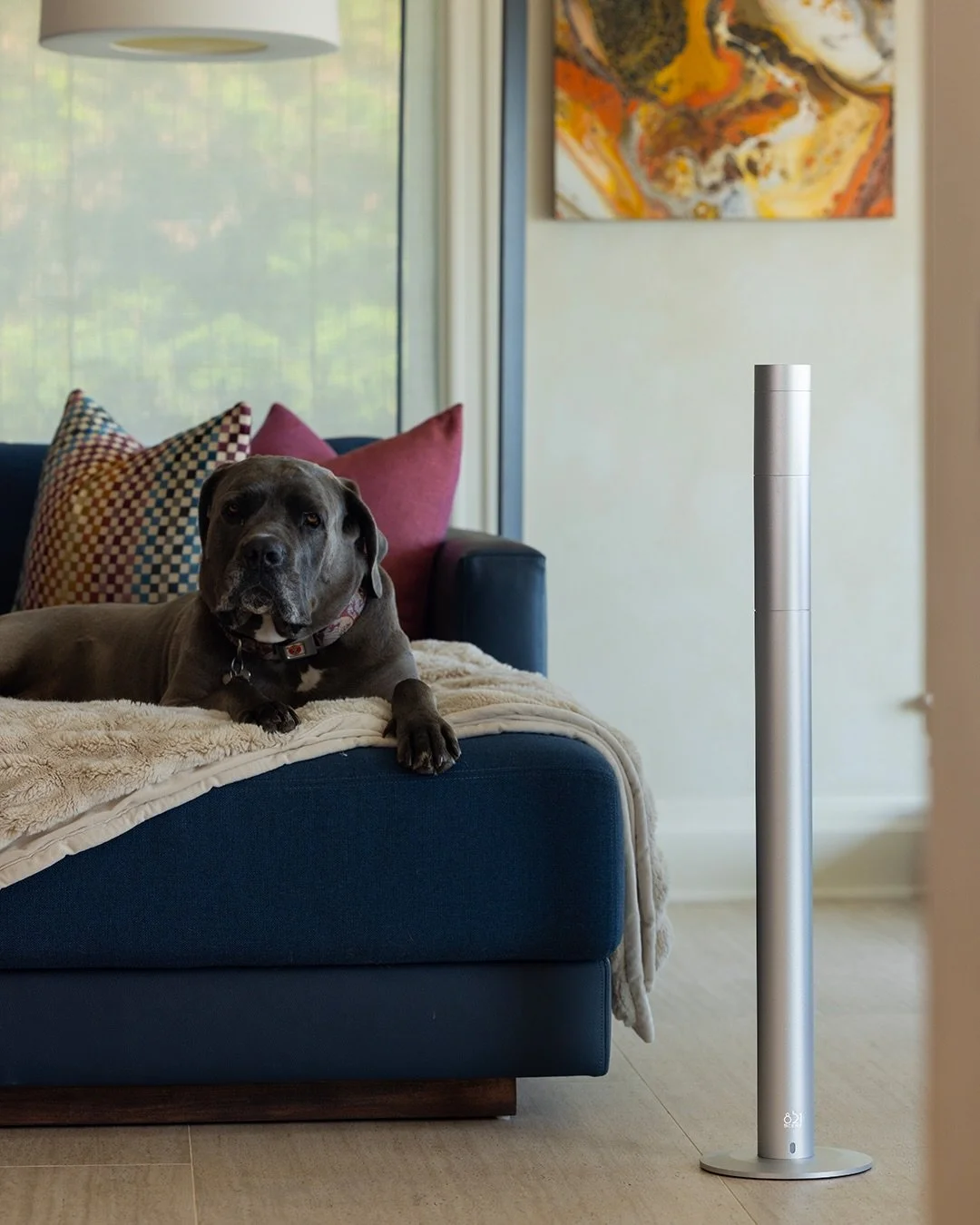 A scent that quietly fills your home with fresh, comforting notes. Even your four-legged roommate approves. 

#821Scent #HomeFragance #FraganceDiffuser #Scents