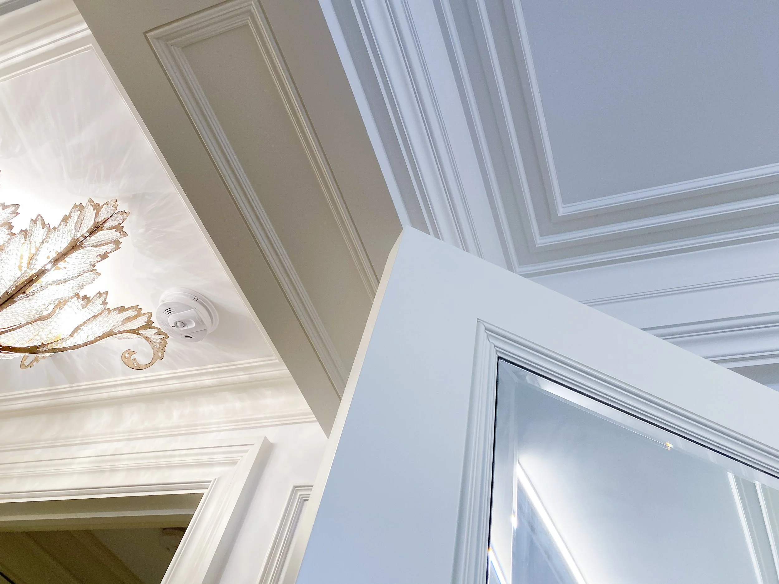 IMG_0229.jpg
