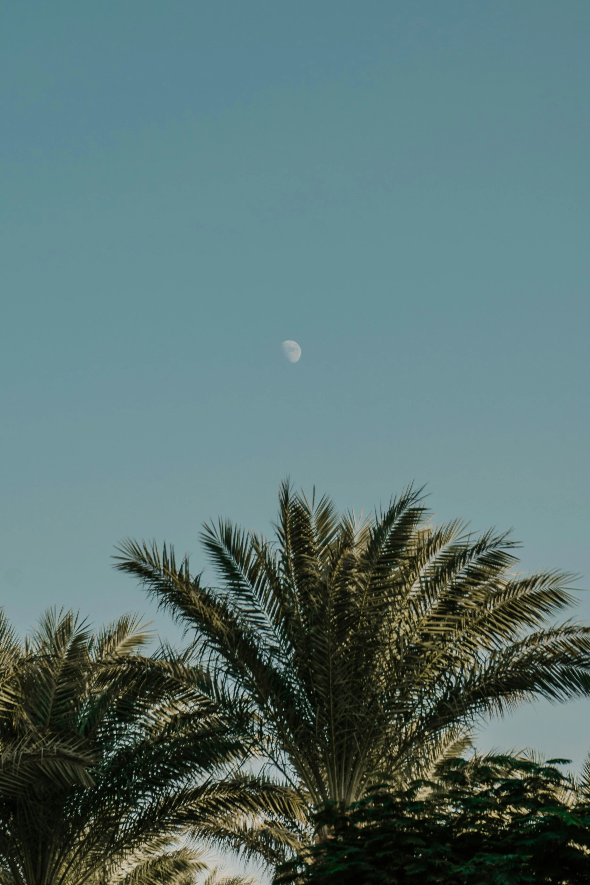 boesijana-g0J9a4SAwTM-unsplash.jpg