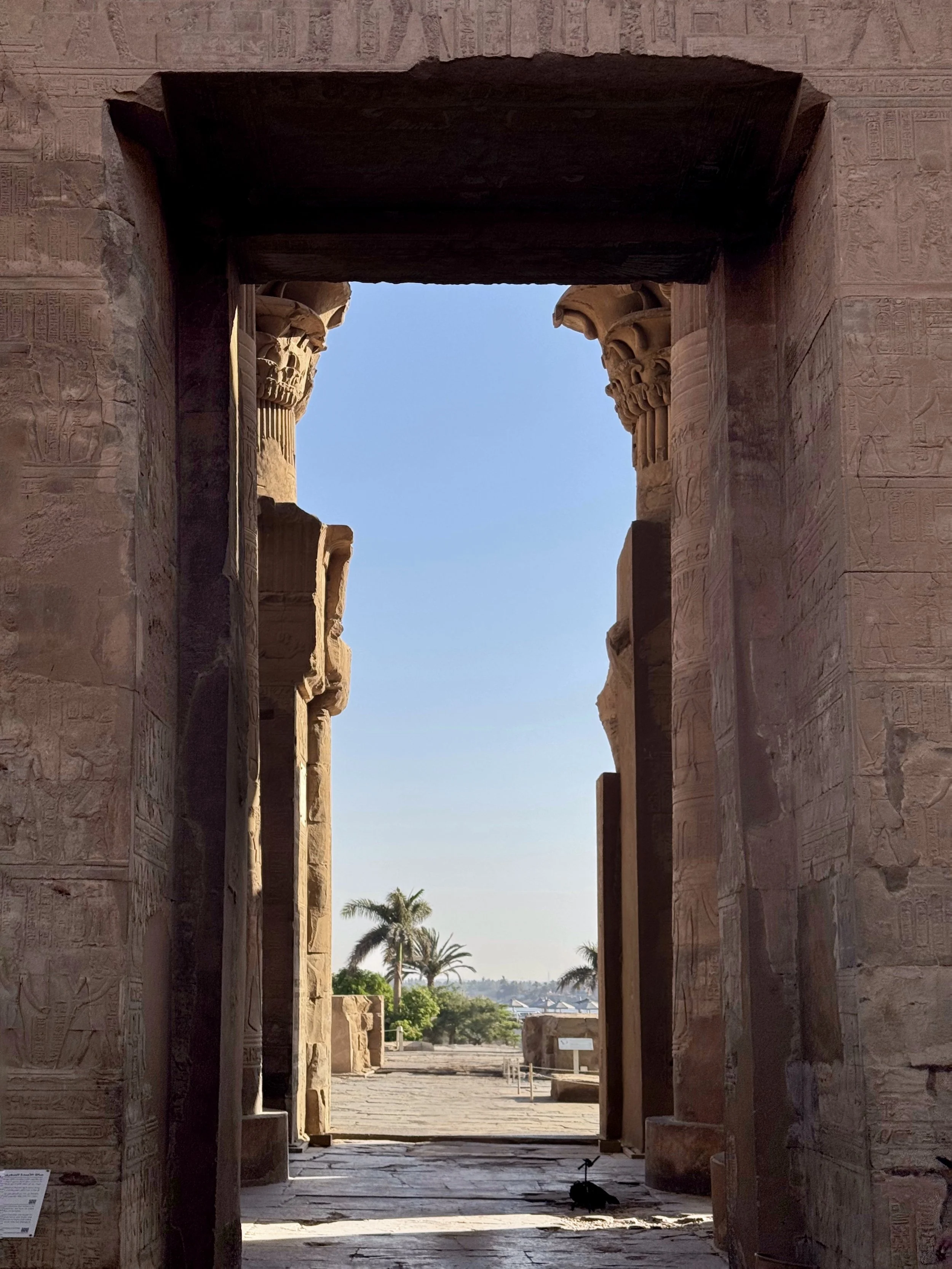 2025.6-148_SnapseedCopy Edited.JPG