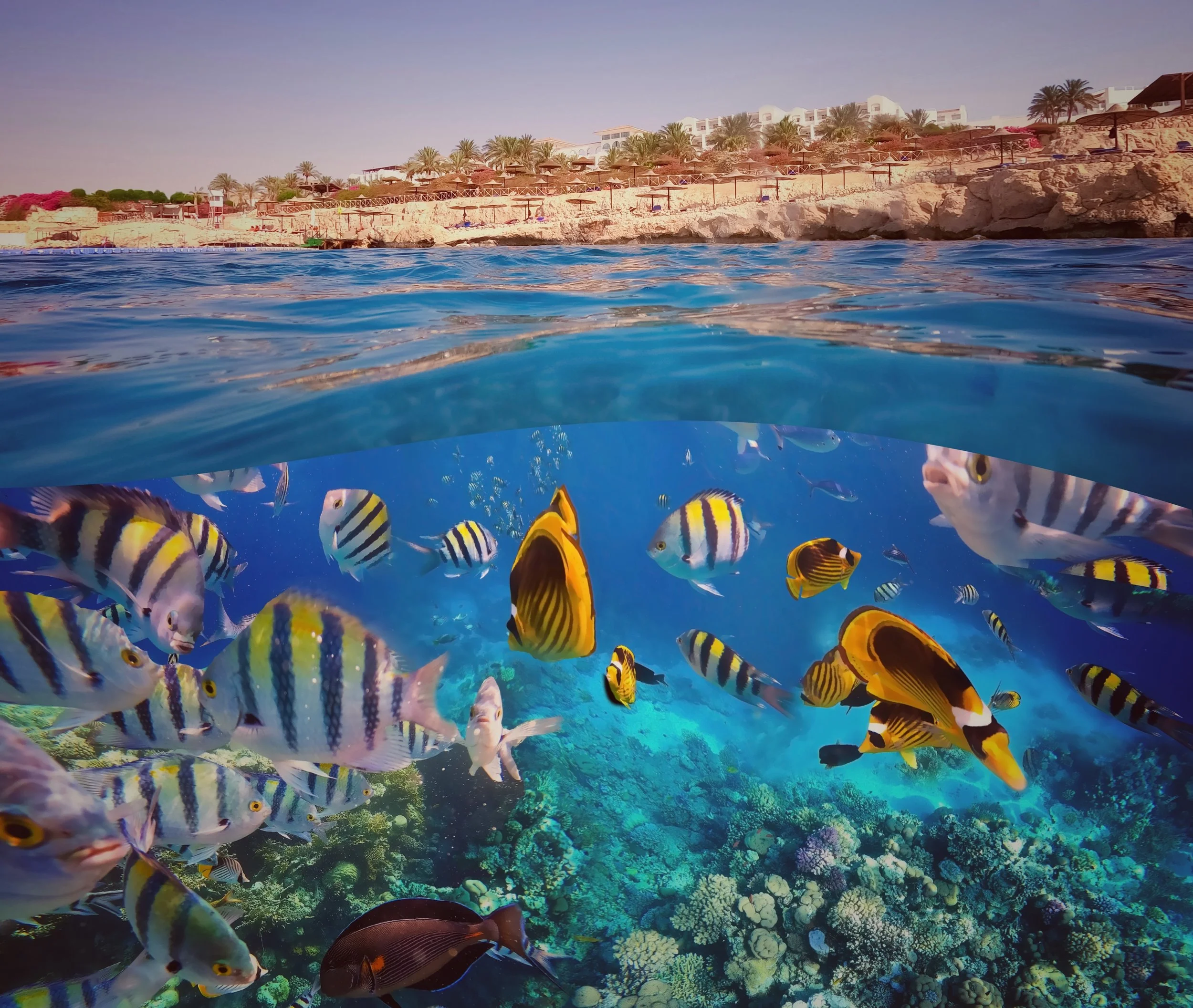 Depositphotos_413981038_XL 2.jpg