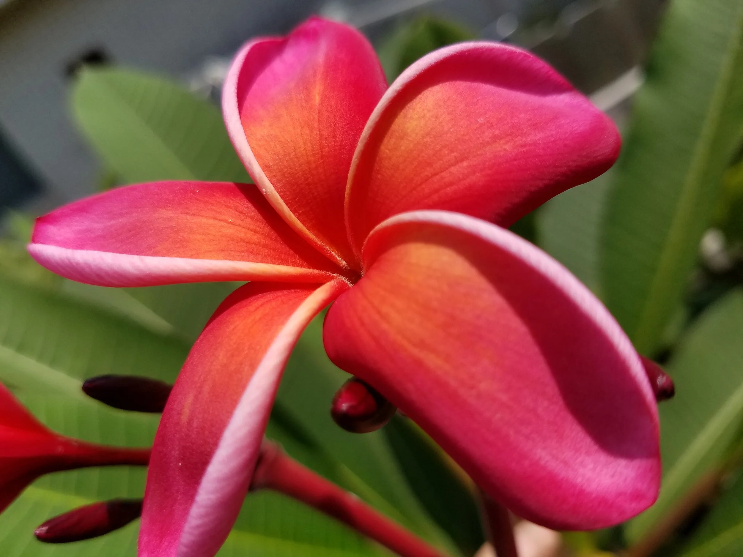 Don Angus Aug 2021 (5).jpg