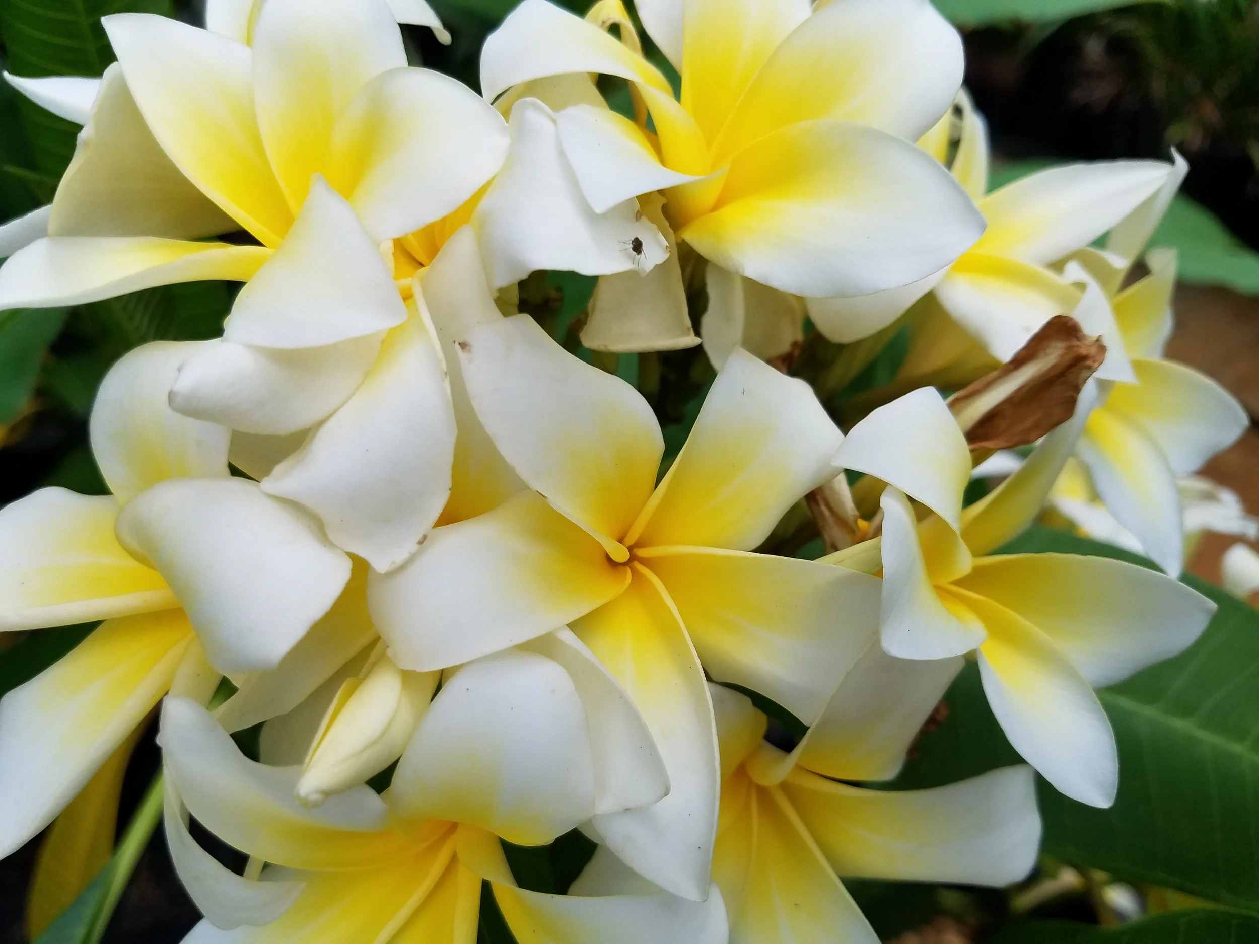 #3 White yellow (6) 2022.jpg