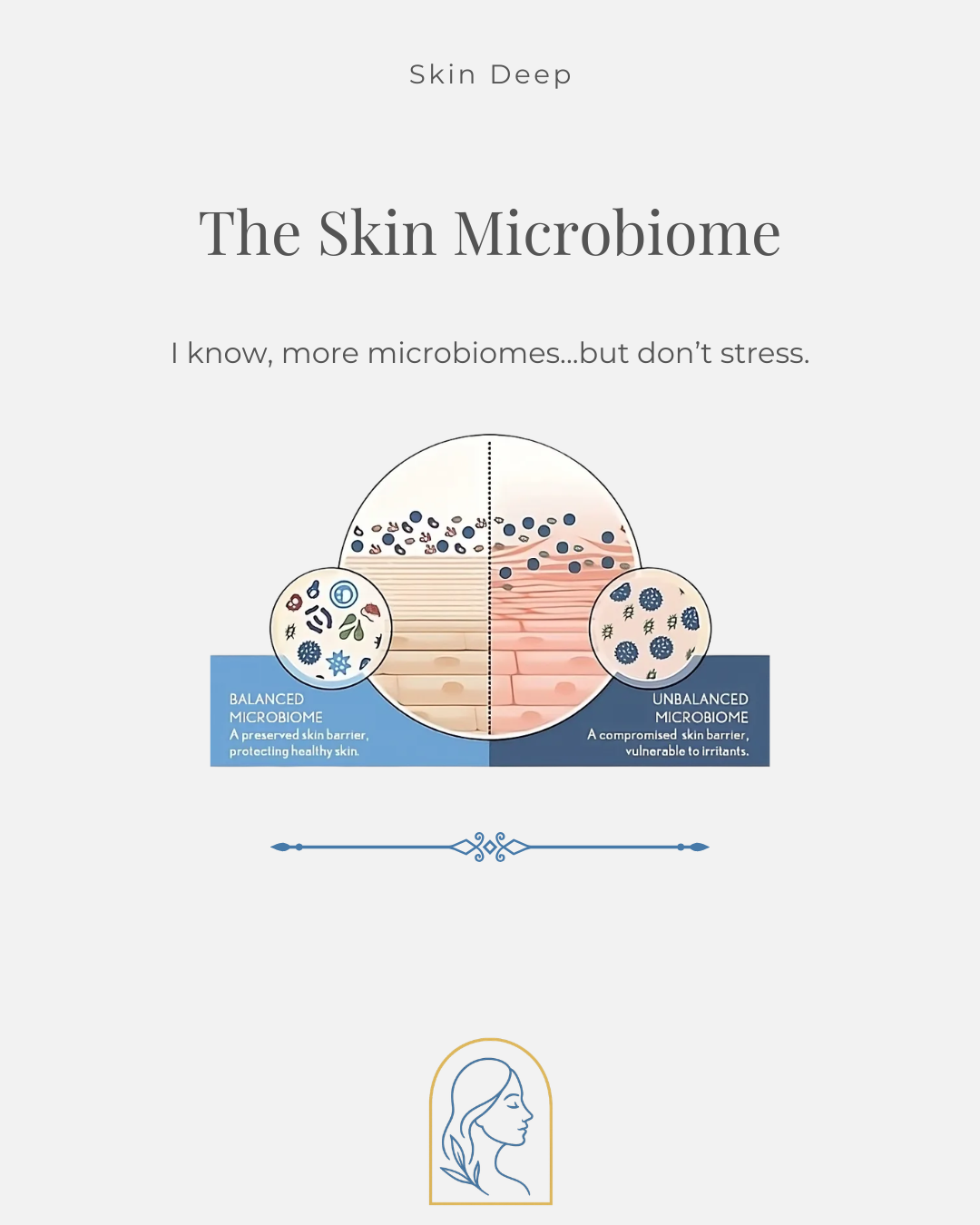 The Skin Microbiome