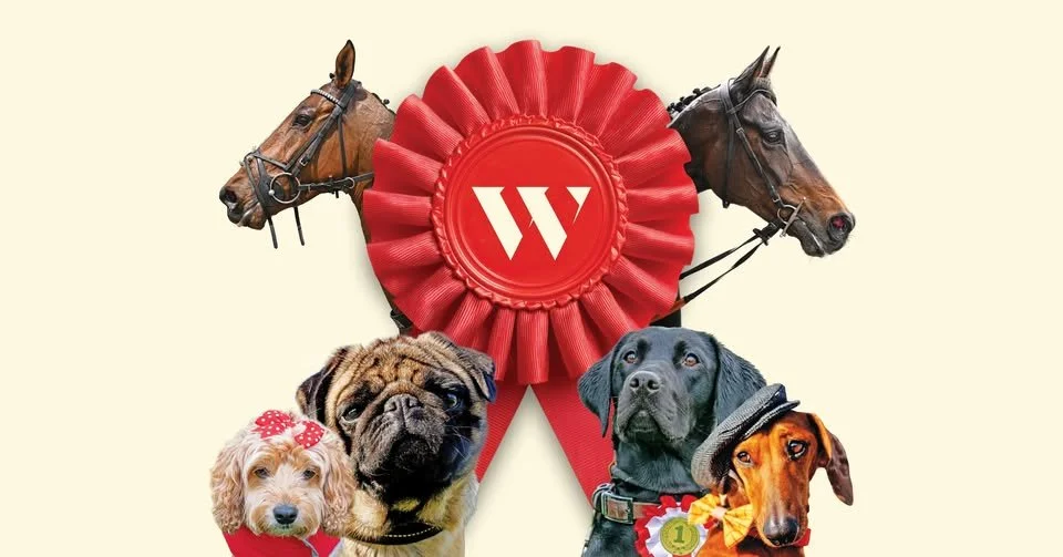 wARWICK RACECOURSE ODDSCHECKER FOUR-LEGGED FRIEND RACE