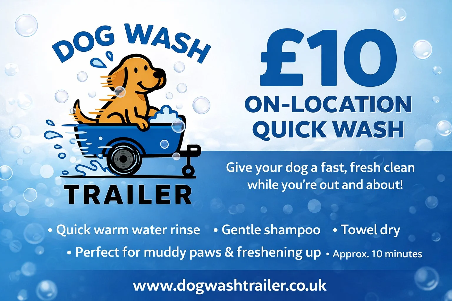 £10 On Location Quick Dog Wash