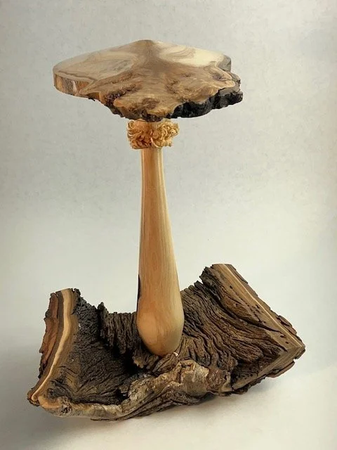 1e3aacae-ec54-4b41-8cf5-8b0f7960bd94.jpg