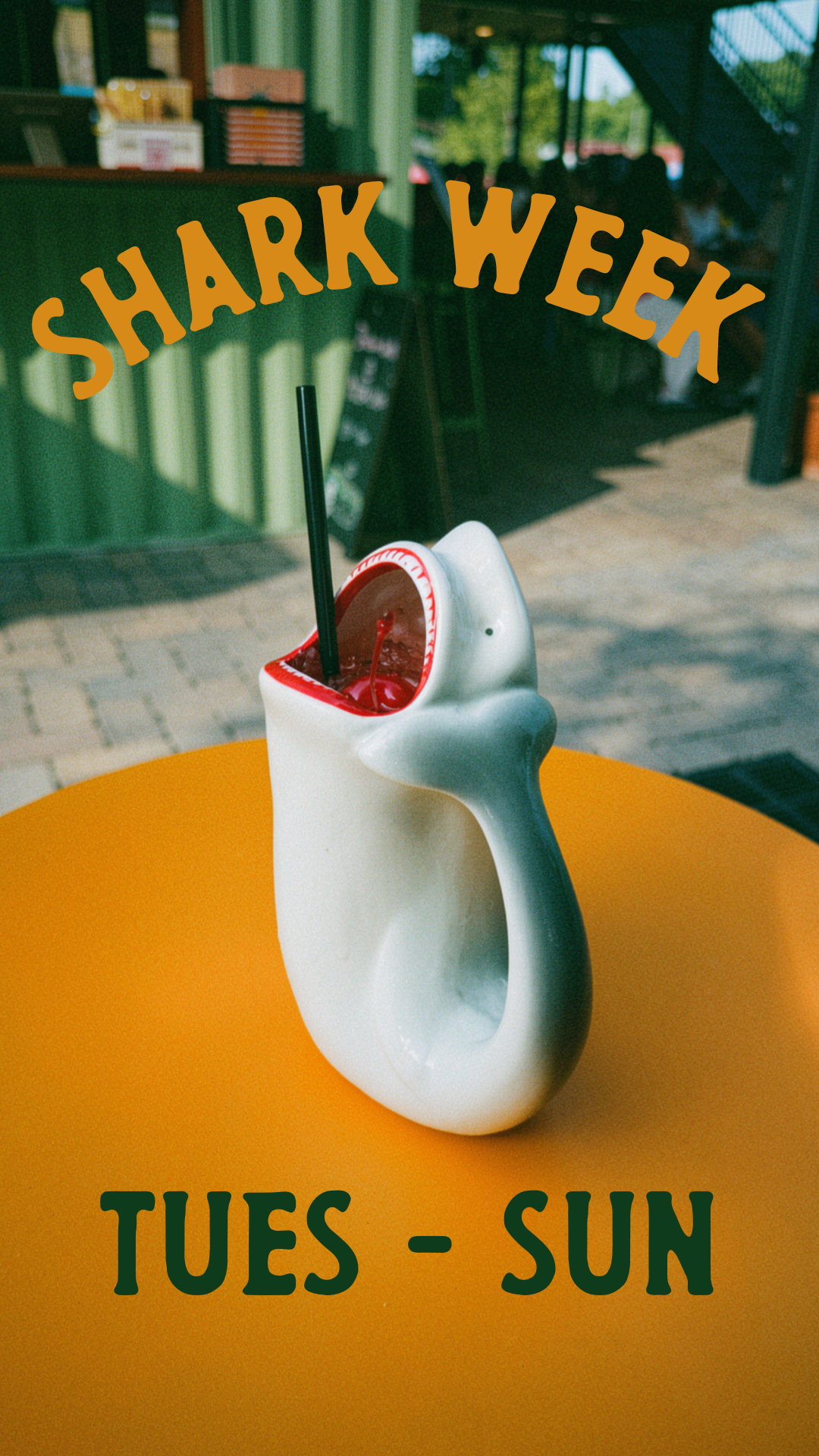 Shark Week at Fortunate Sun 
