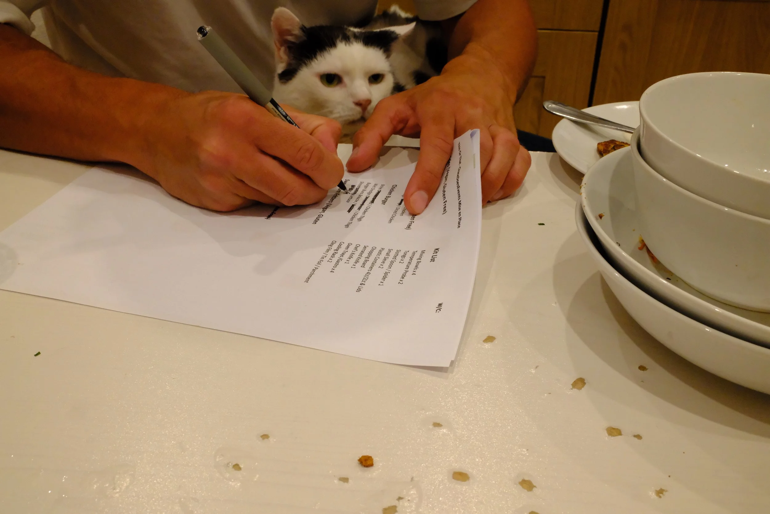 A person is signing a document at a table in a restaurant, with a black and white cat's face peering over their shoulder. The table has stacks of white bowls and some crumbs scattered on the surface.