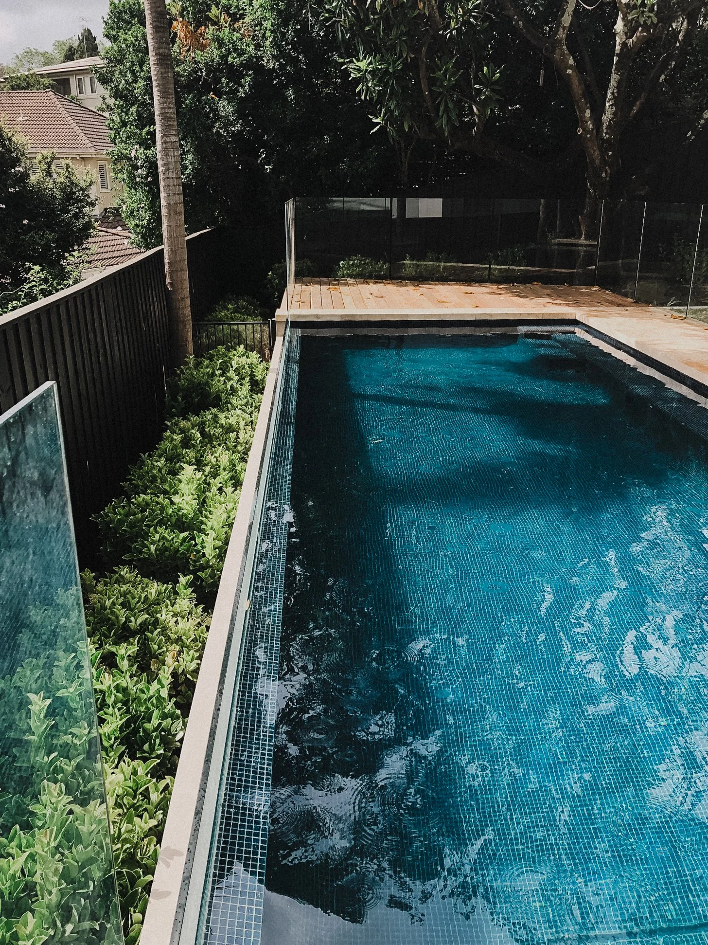 custom-acrylic-pool-window-woollahra-nsw3.jpg