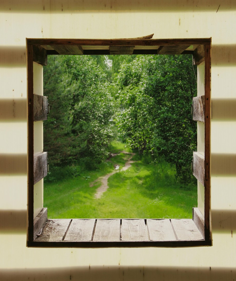 View of a lush, green woodland scene through an open window with wooden shutters from inside a building.