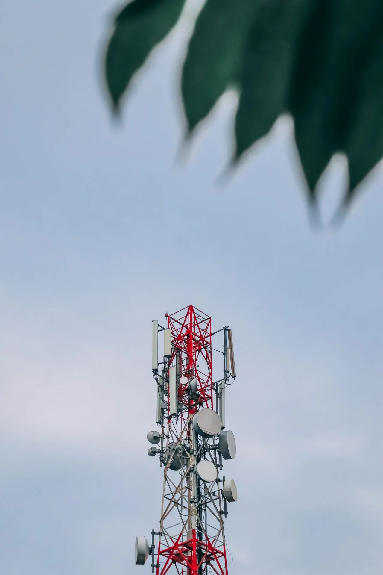 A tall radio tower with multiple antennas and dishes, red and white in color, set against a pale blue sky, partially obscured by a large green leaf at the top of the image.