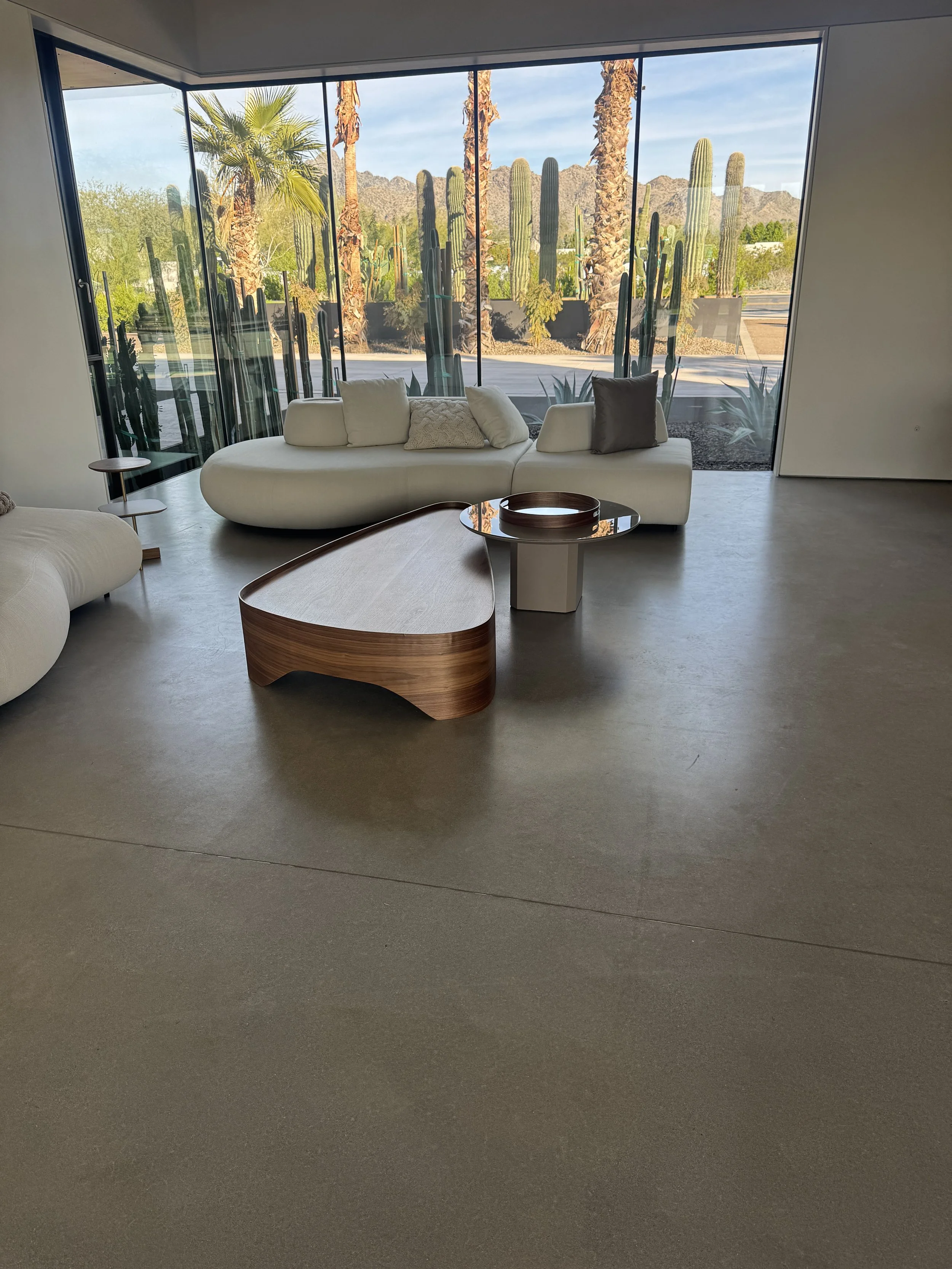 Modern living room with large floor-to-ceiling windows showing desert plants and mountains outside, featuring a curved white sofa with assorted pillows, a wooden and white coffee table, and a minimalist side table.