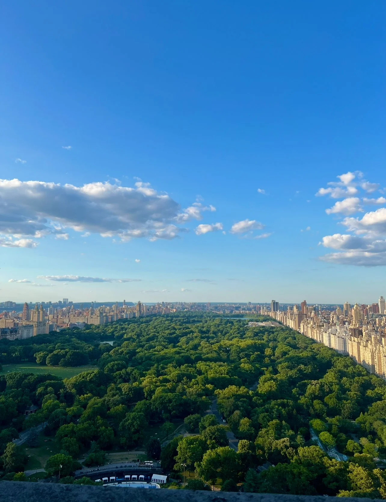A wide view of Central Park in New York City with lush green trees, surrounded by tall city buildings under a blue sky with scattered clouds.