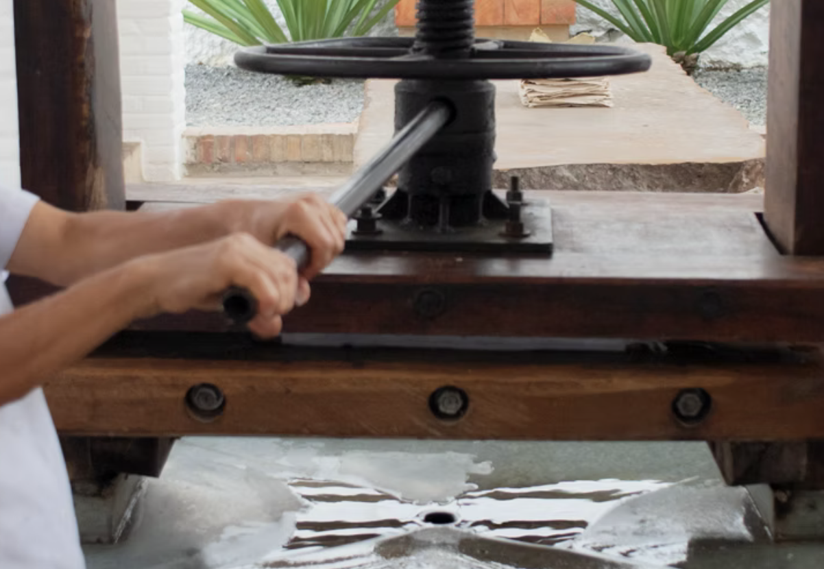 Close-up of someone operating a vintage printing press, turning a large handle with both hands. The press is made of dark metal and wood, with some greenery in the background.