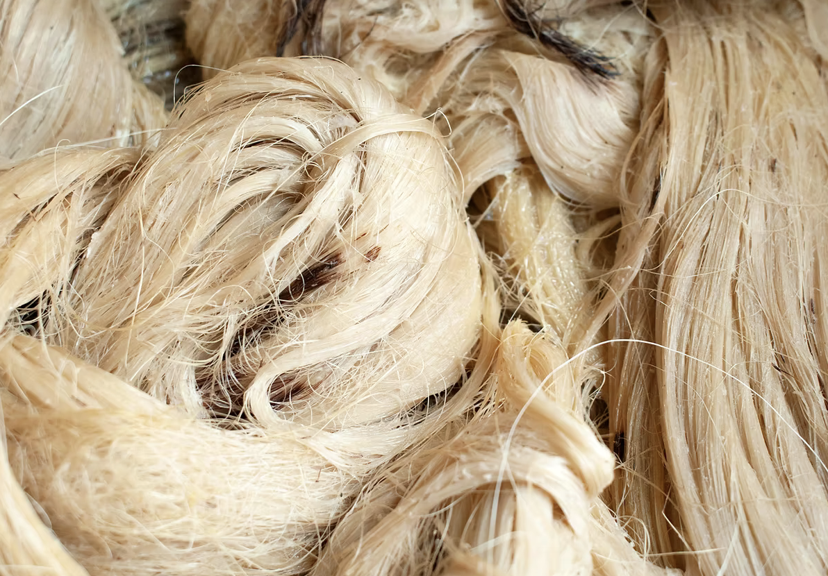 Close-up of wet, blonde, curly or wavy hair strands.