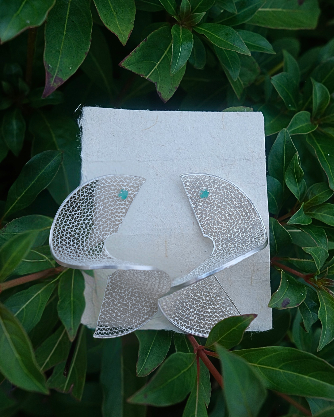 Mano Fina Website.png