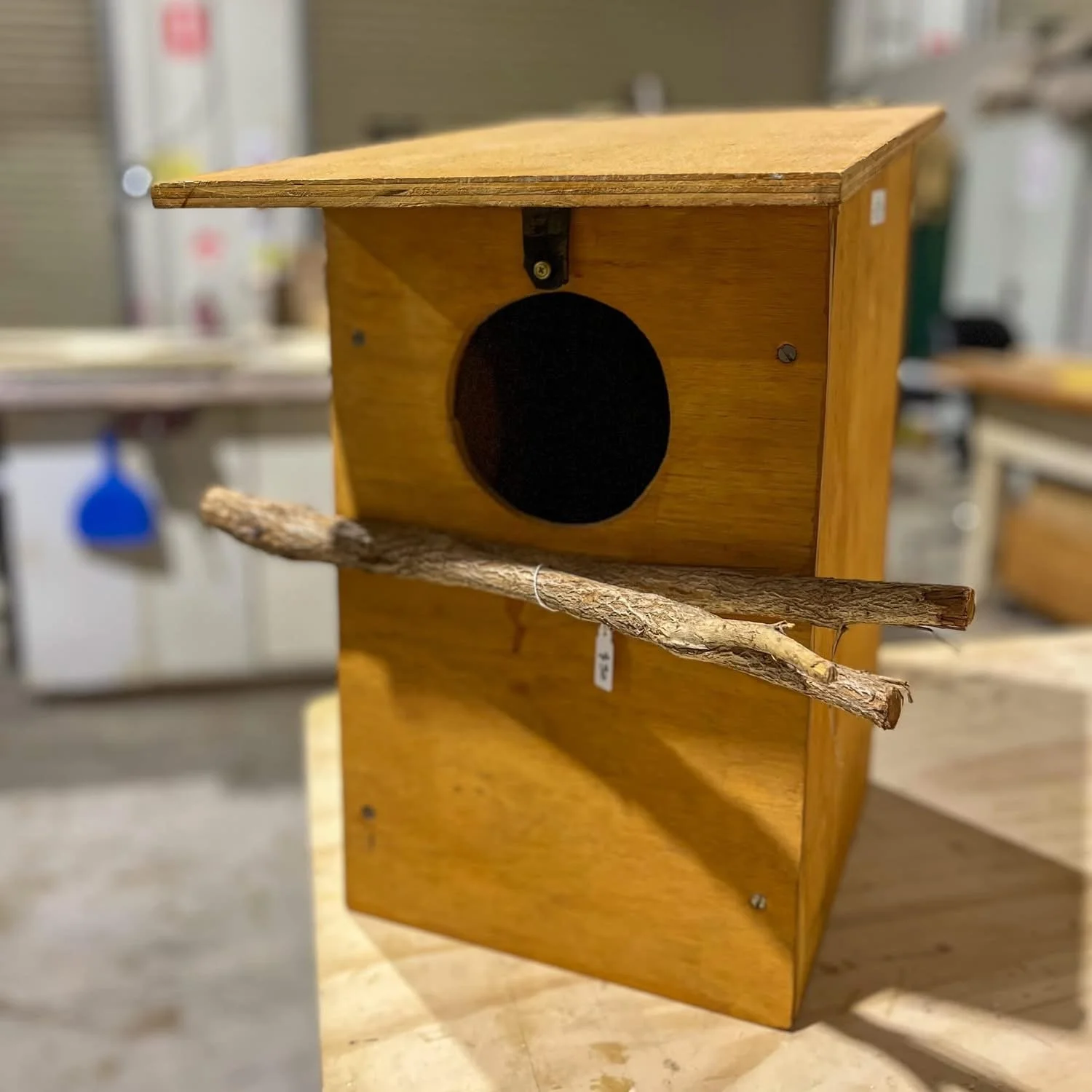 Possum Nesting Box