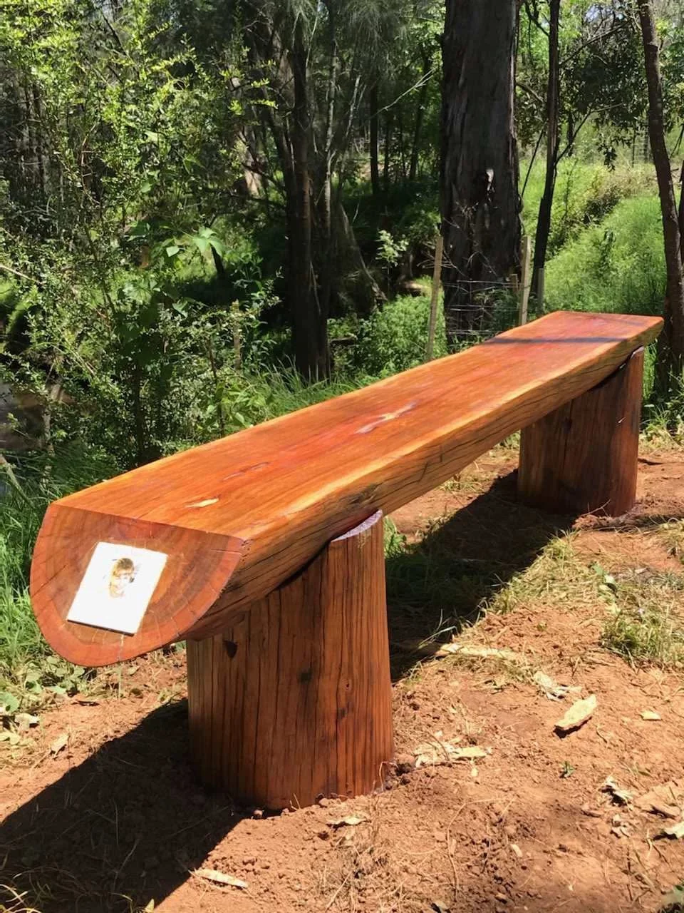 Memorial Bench for Cumberland Land Conservancy