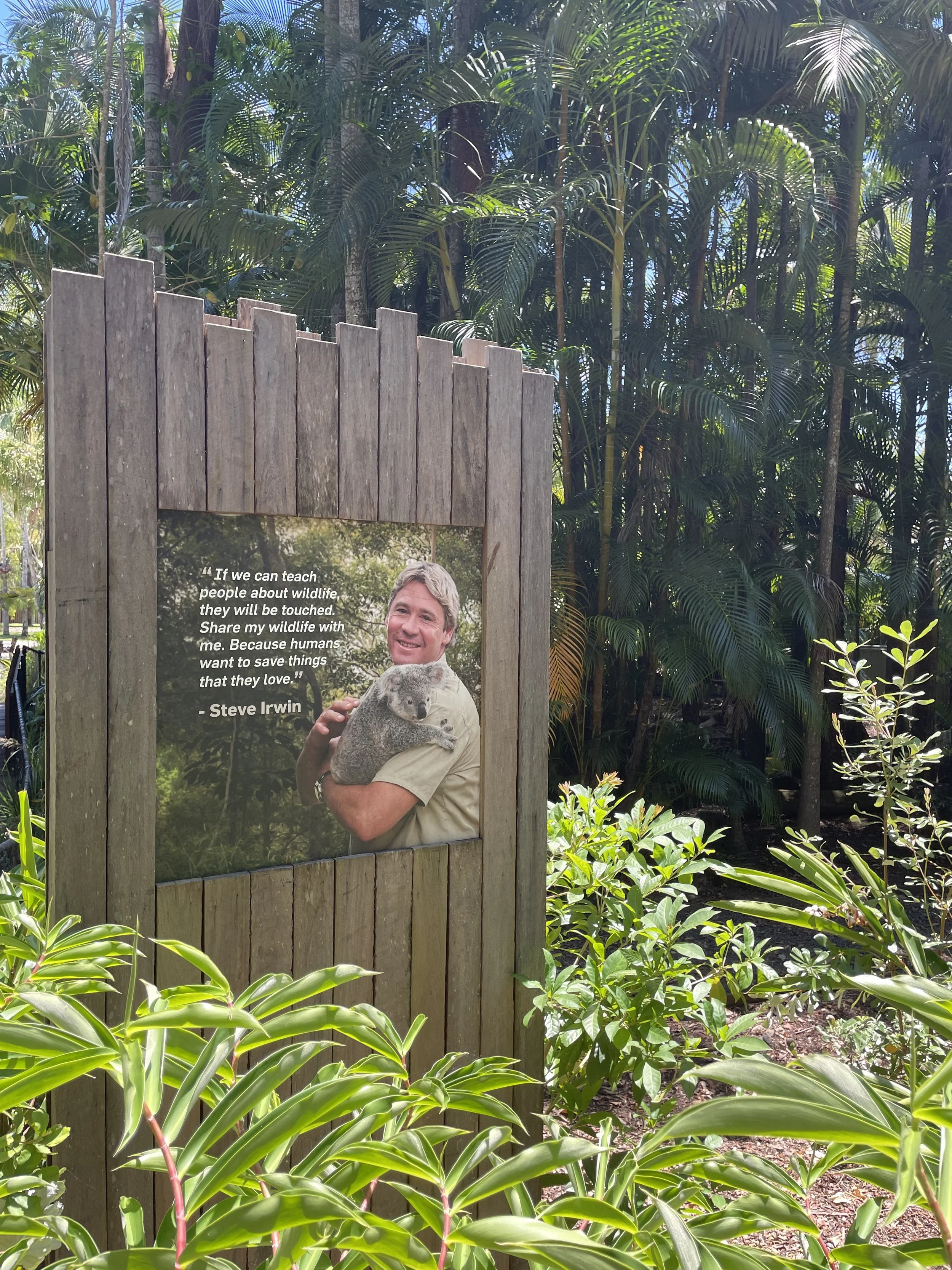 The Evolution of Conservation: Why Modern Zoos Matter