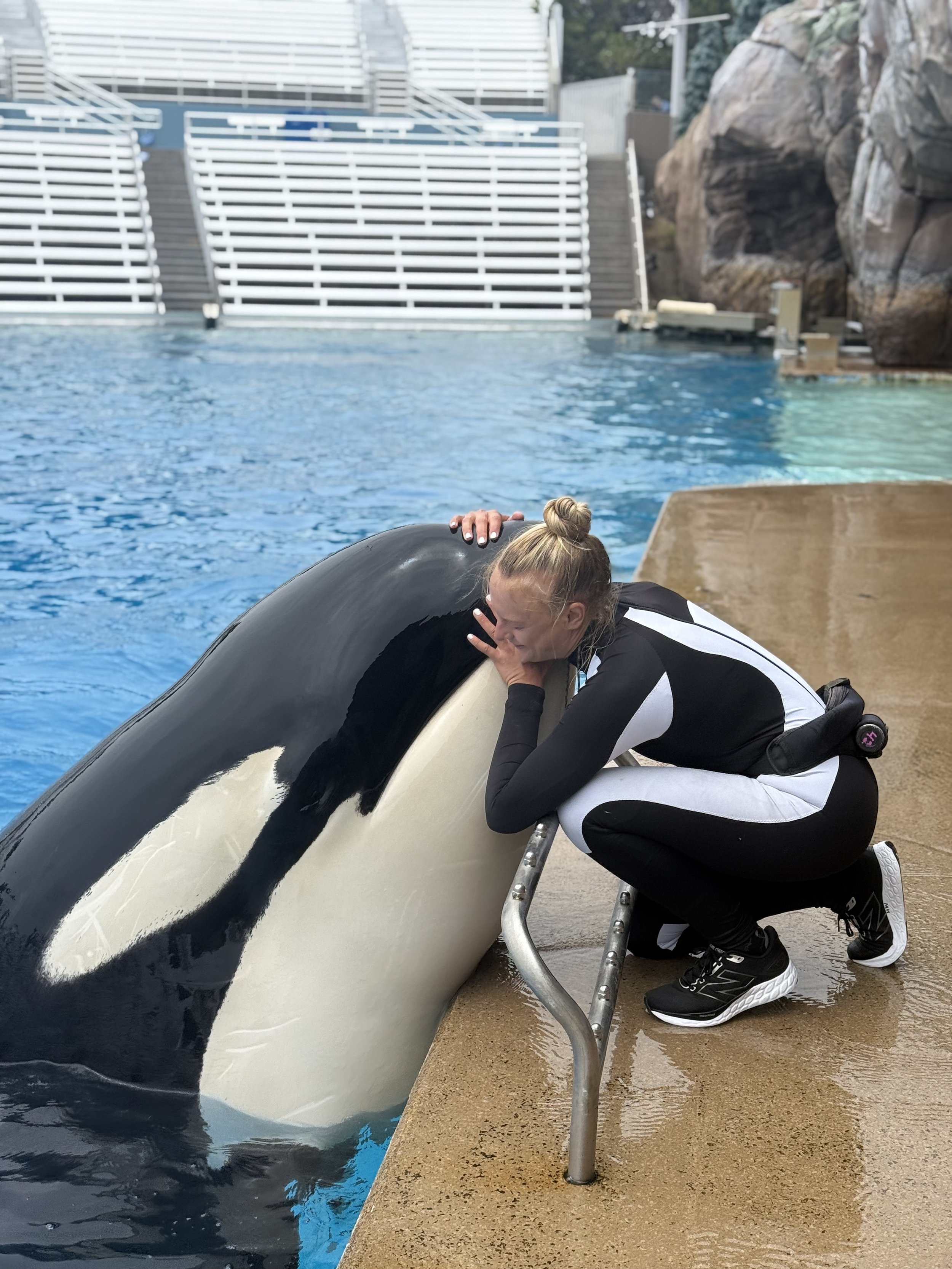 The Reality of Killer Whales in Human Care: Moving Beyond the Noise