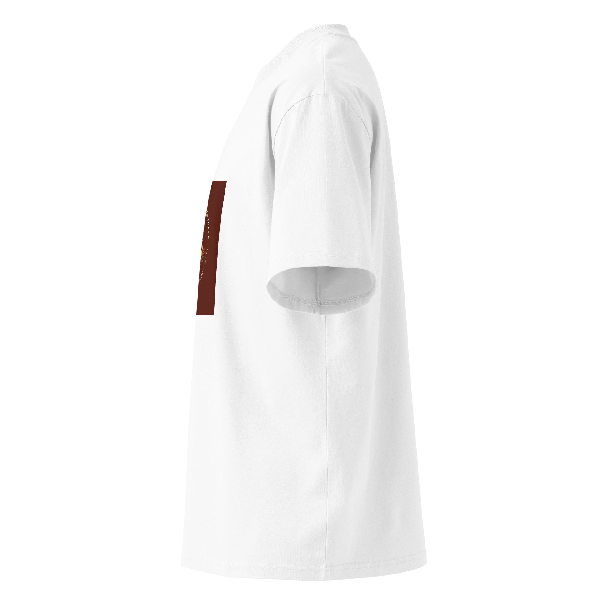 unisex-organic-oversized-high-neck-blaster-2.0-t-shirt-white-left-6ac6bd99d2c16.jpg