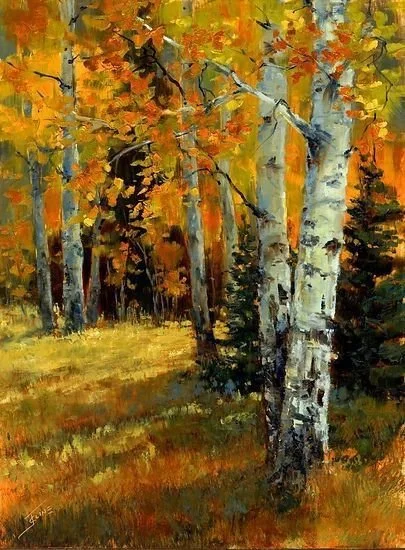 Autumn in the Woods- 12th Nov 2026