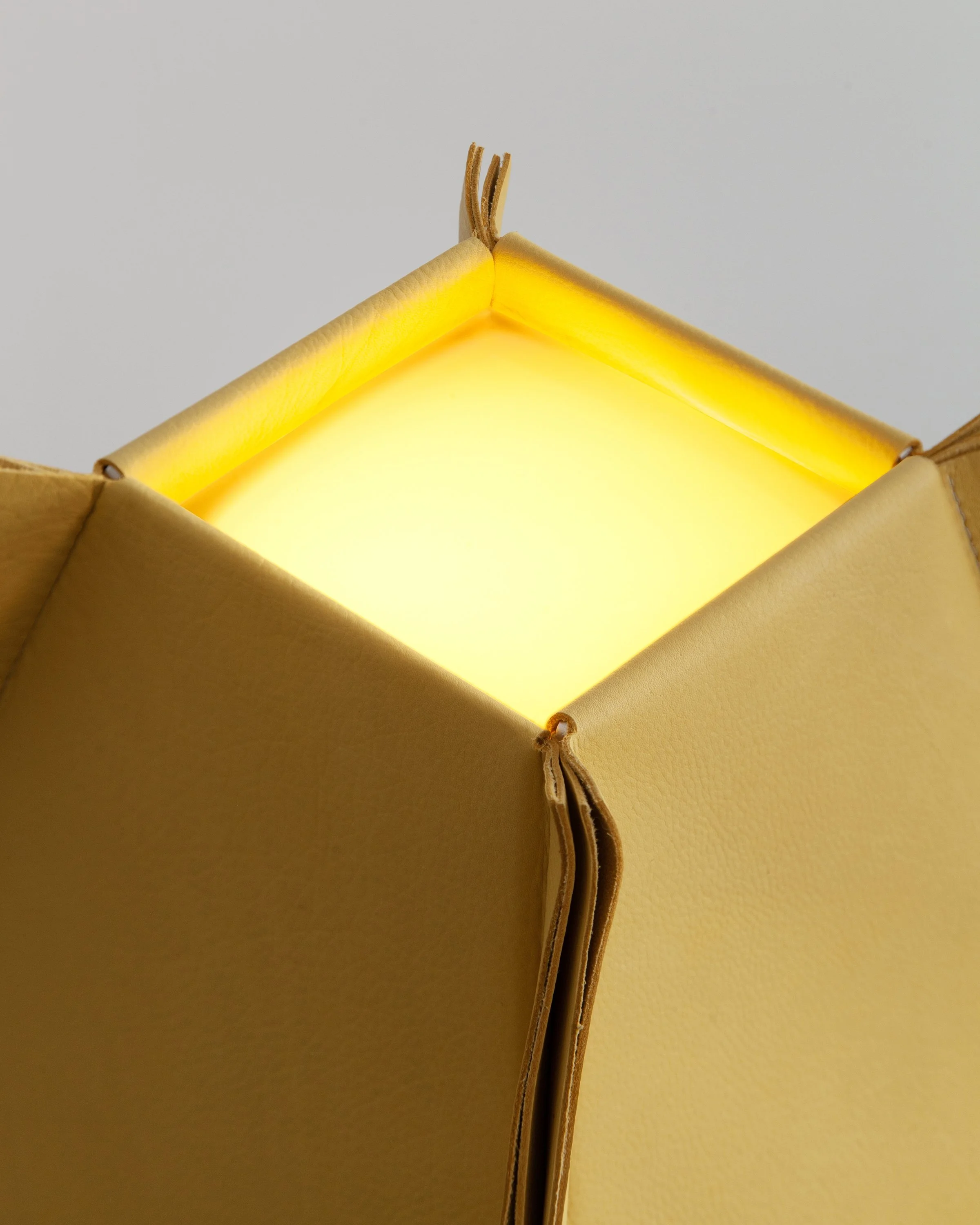 Pleine Fleur Table Lamp by Séjour x JETA Design Montreal Québec