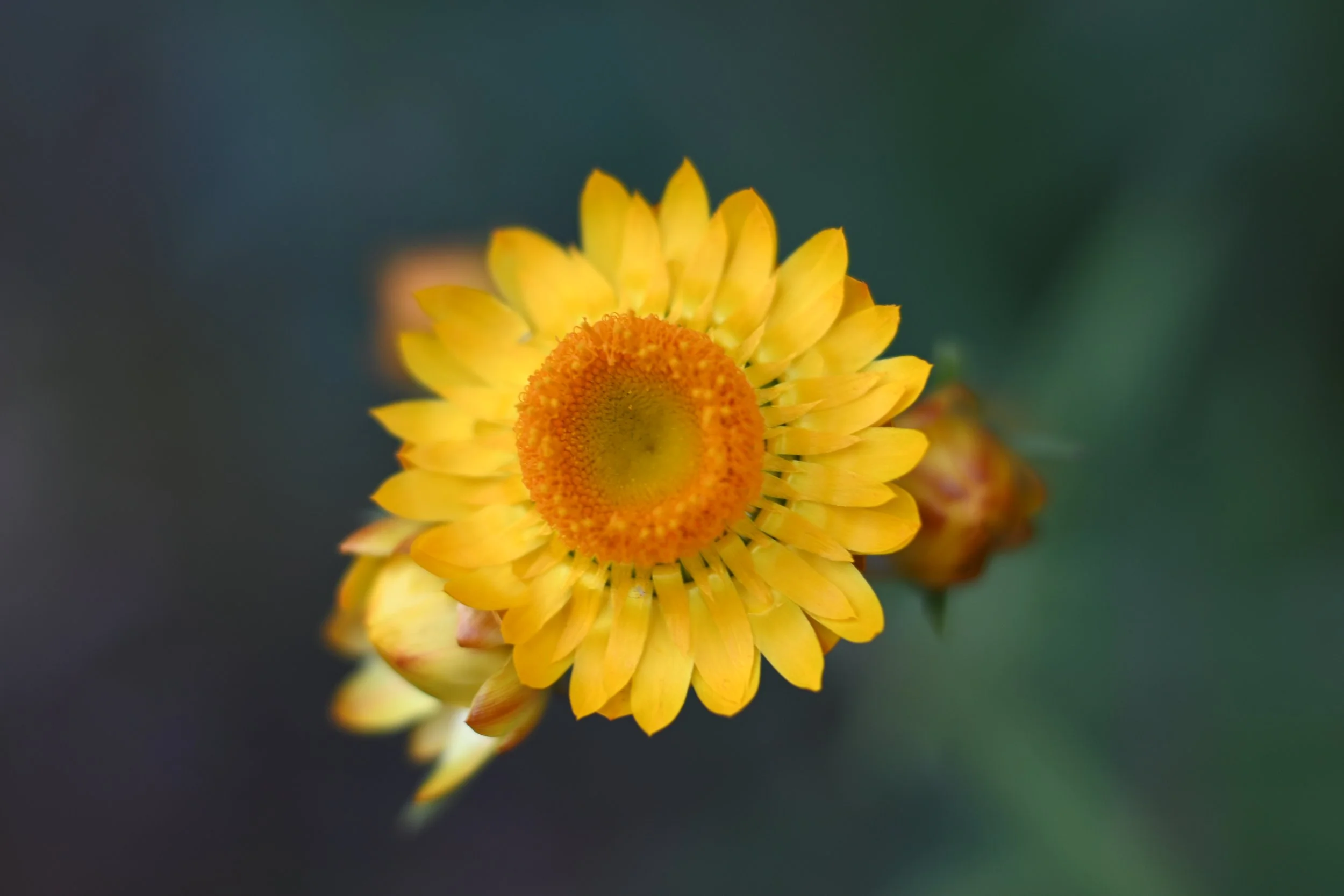       
  
    The Quiet Power of Remembering Where You’ve Been  We live in a culture that values forward motion over integration. What’s next is praised. What has already shaped us is rarely given space. But remembering where you’ve been is not senti