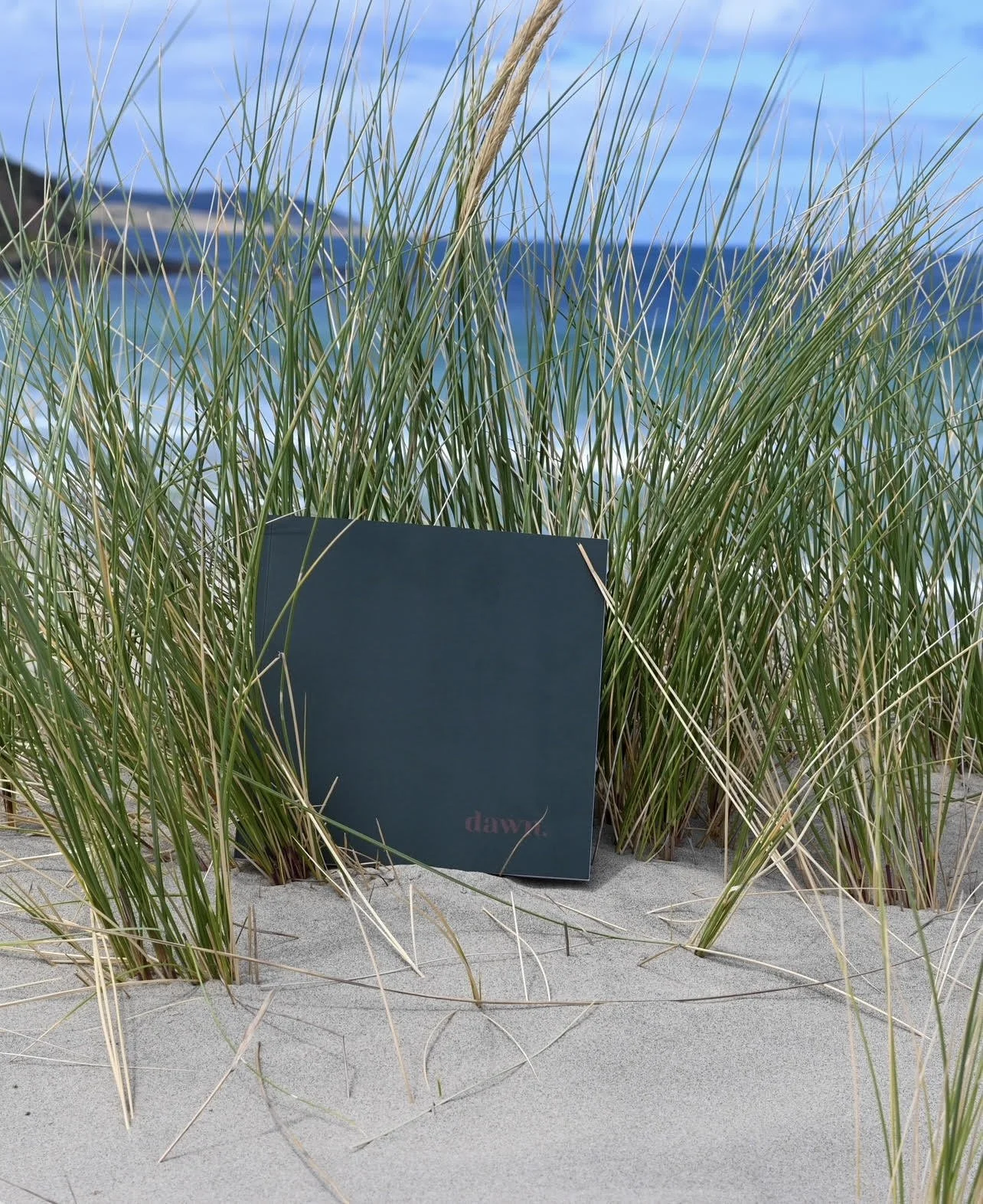 dawn echo journal 2.jpg