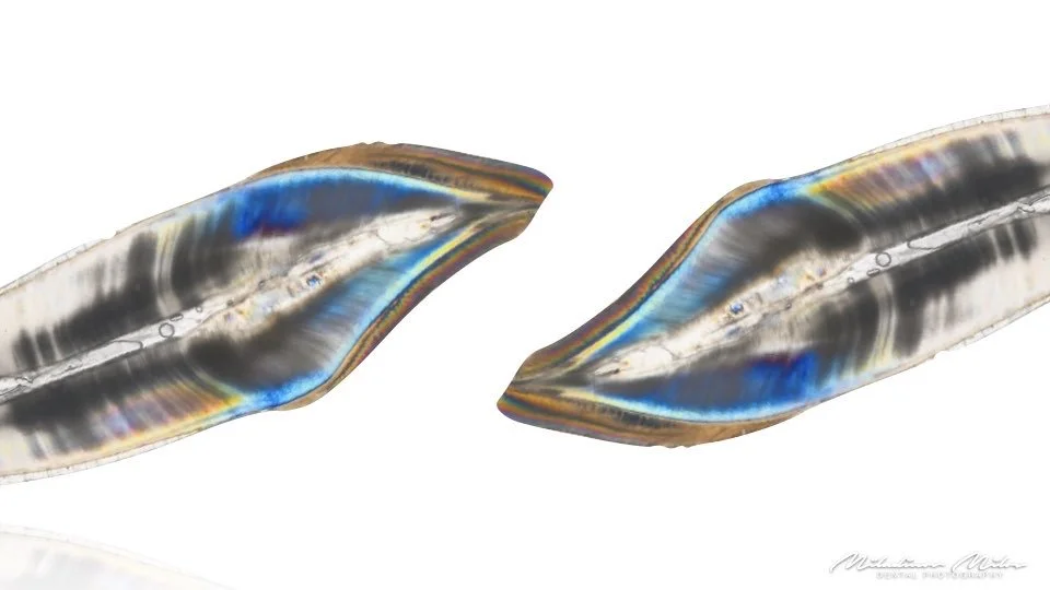 Two iridescent razor blades with colorful reflections and sharp edges, isolated on a white background.
