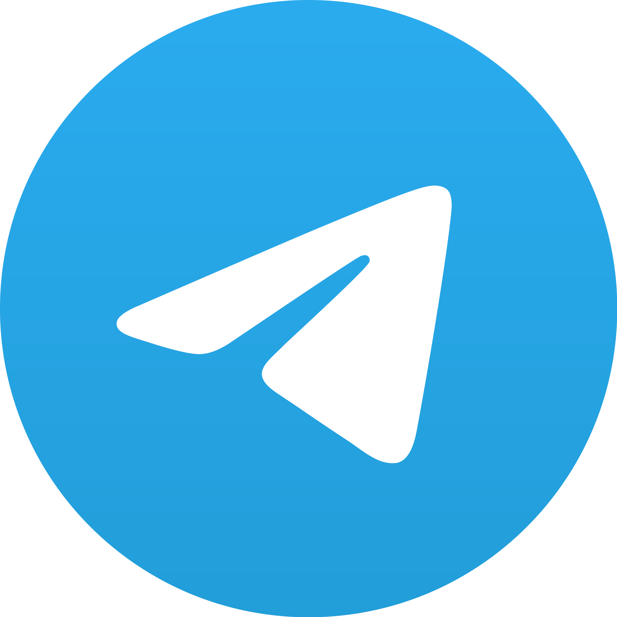 Logo of the messaging app Telegram, featuring a white paper airplane icon on a blue circular background.