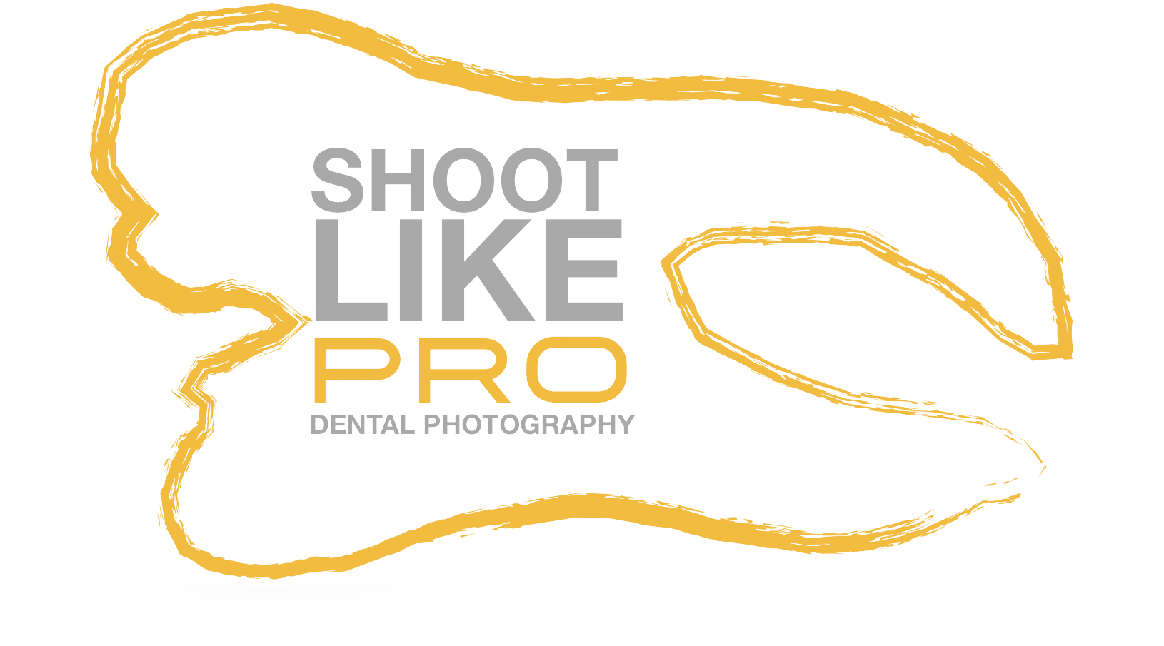 Logo for 'Shoot Like a Pro Dental Photography' with a stylized gold outline of a dog's head.