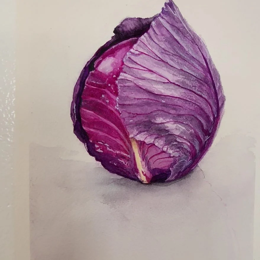 CabbageWatercolor.jpeg